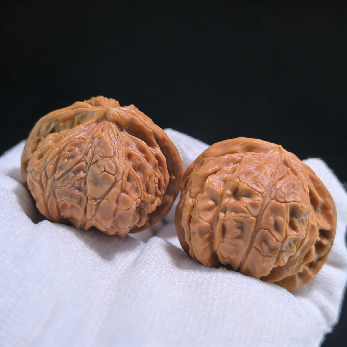 The Rare "Palace Lantern Snake" Collector's Pair | 38.0mm x 38.0mm x 32.0mm | GDS-001E - ThePatinaProject