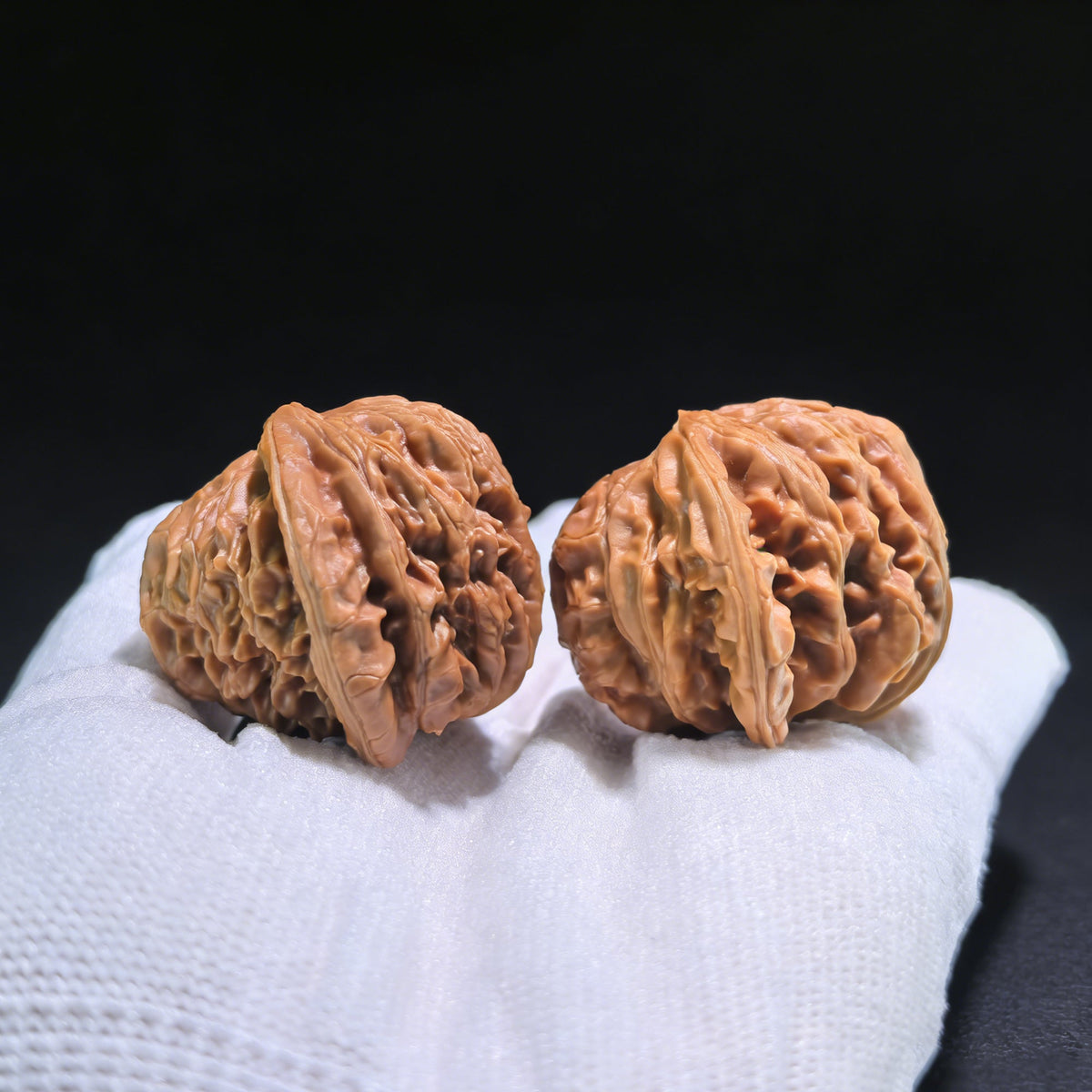 The Rare "Palace Lantern Snake" Collector's Pair | 38.0mm x 38.0mm x 32.0mm | GDS-001E - ThePatinaProject