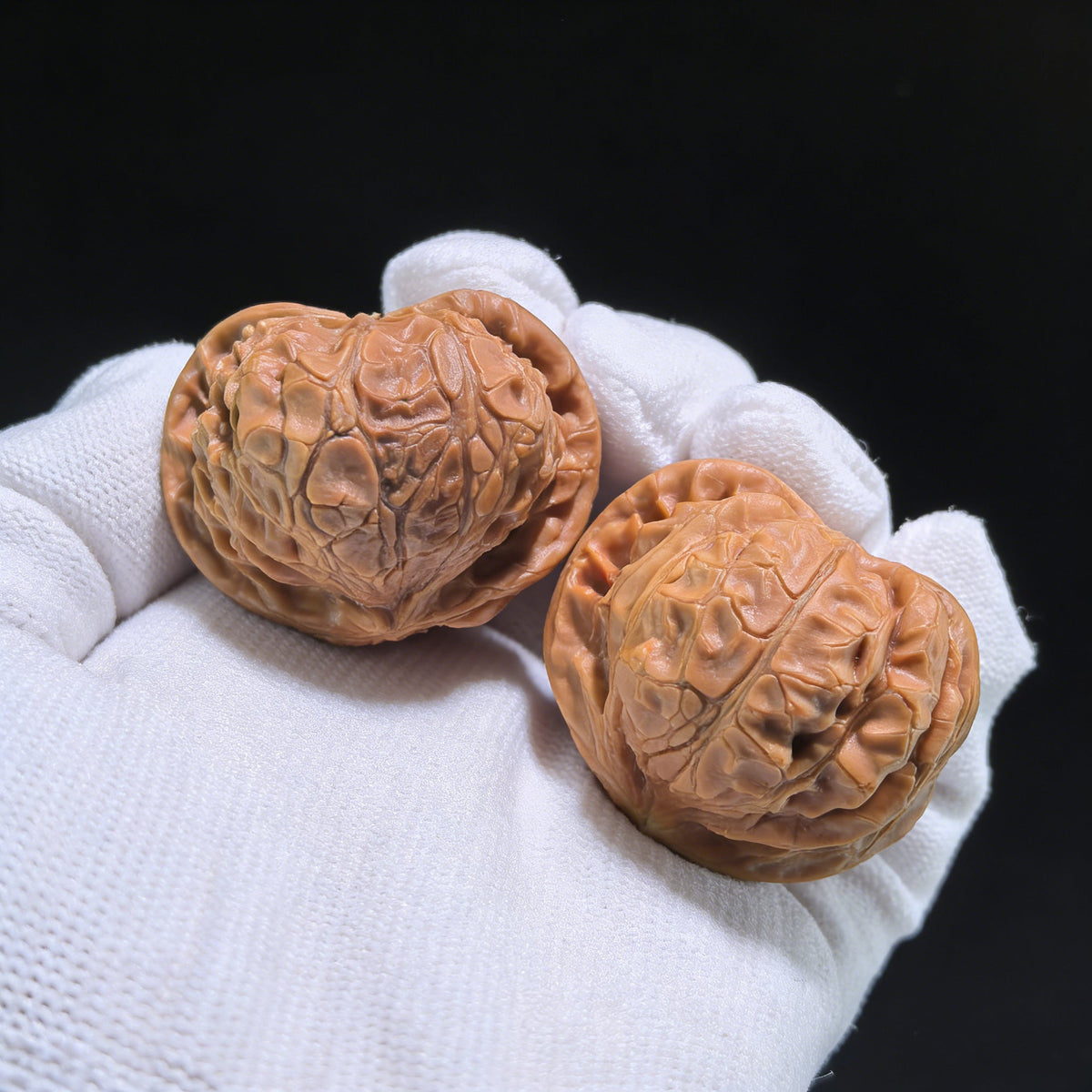The Rare "Palace Lantern Snake" Collector's Pair | 38.0mm x 38.0mm x 32.0mm | GDS-001E - ThePatinaProject