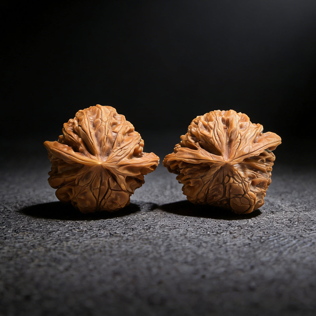 The Rare "Palace Lantern Snake" Collector's Pair | 38.0mm x 38.0mm x 32.0mm | GDS-001E - ThePatinaProject