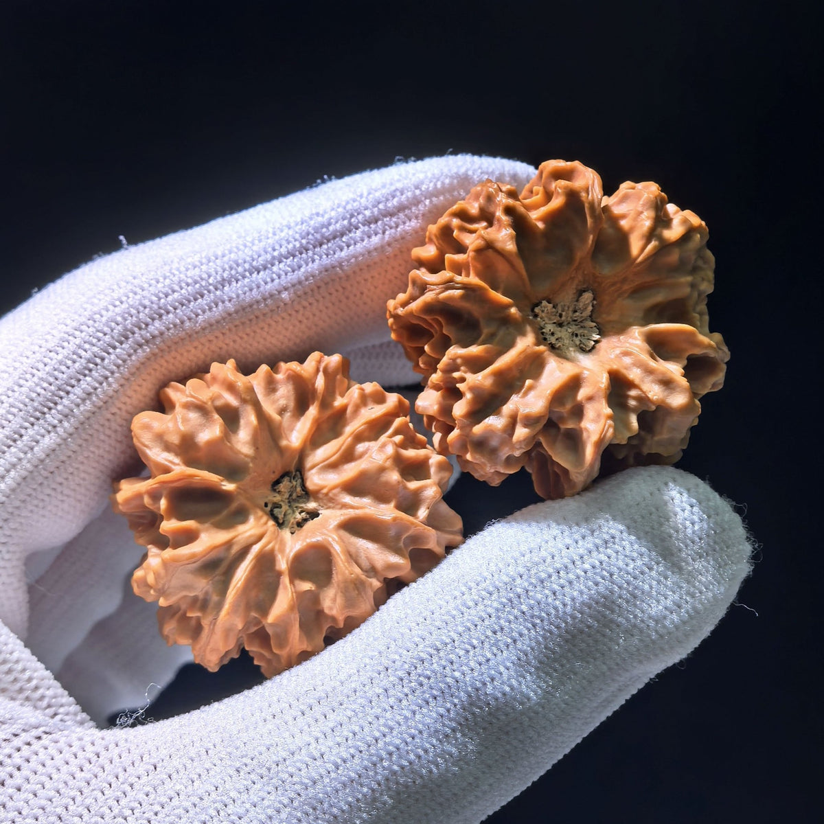 The Rare "Qishan" Quad-Ridge Four-Sided Pair | 33.0mm x 32.0mm | QSSL-1201E - ThePatinaProject