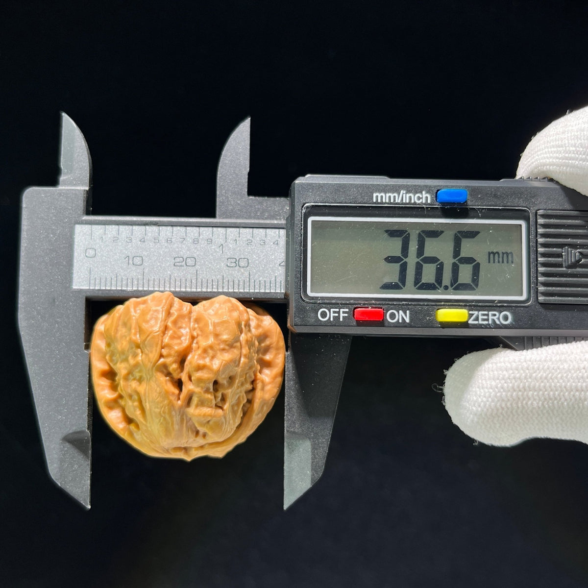 The Rare Triangle "Toad Head" Collector's Pair | 37.0mm x 37.0mm | W-804 - ThePatinaProject