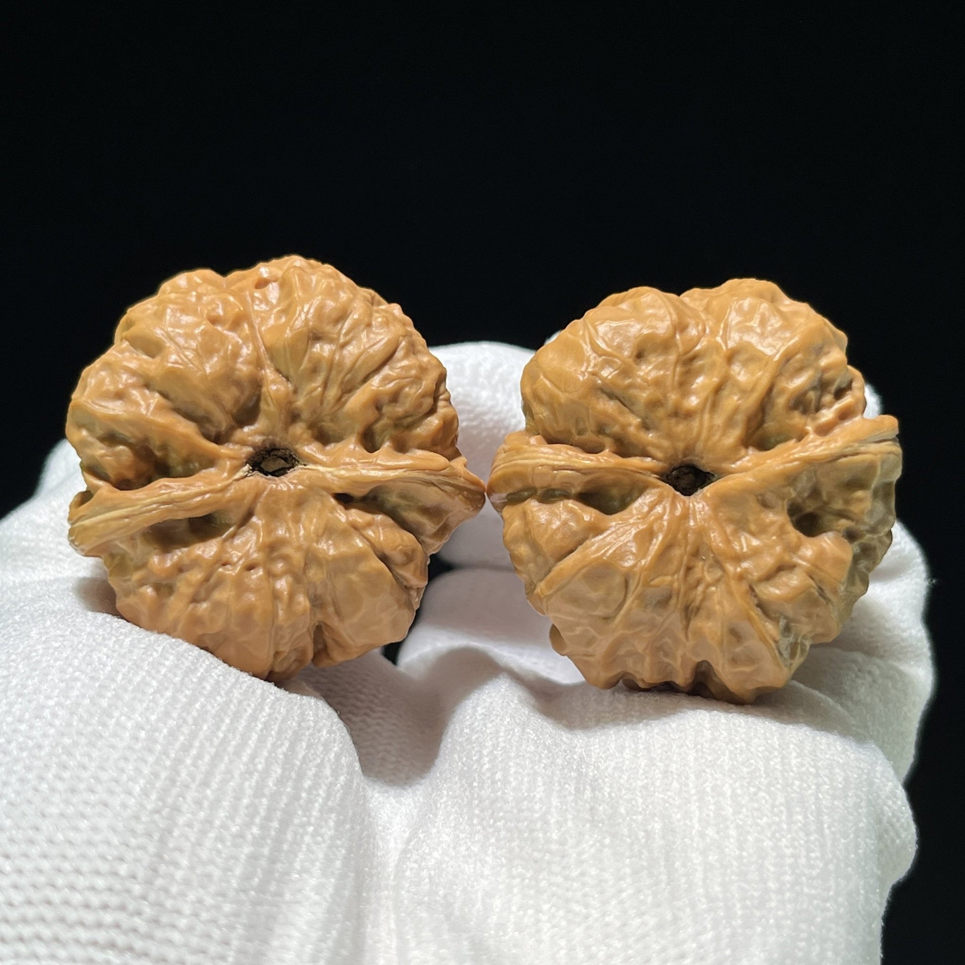 The Rare Triangle "Toad Head" Collector's Pair | 37.0mm x 37.0mm | W-804 - ThePatinaProject