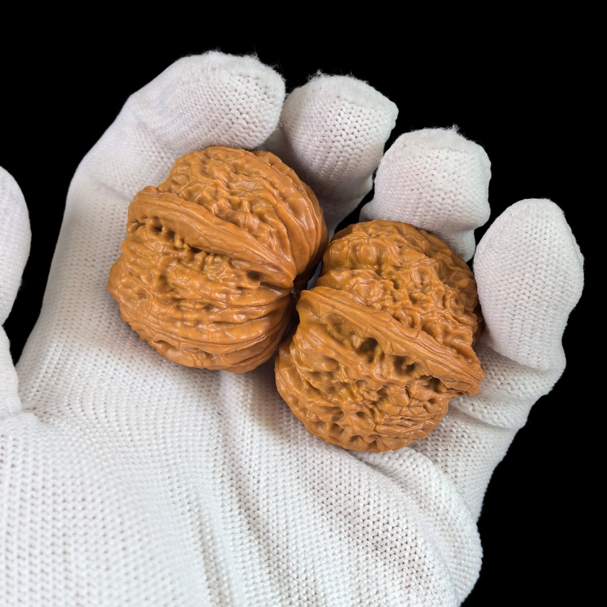 The Rare "Twin-Husk" White Lion Head (Banbi) Pair | 32.0mm | BBBSZ-01 - ThePatinaProject