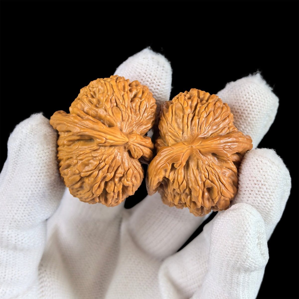 The Rare "Twin-Husk" White Lion Head (Banbi) Pair | 32.0mm | BBBSZ-01 - ThePatinaProject