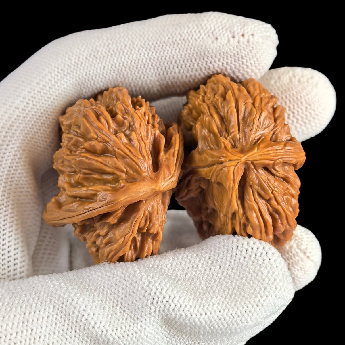 The Rare "Twin-Husk" White Lion Head (Banbi) Pair | 39.0mm | BBBSZ-02 - ThePatinaProject