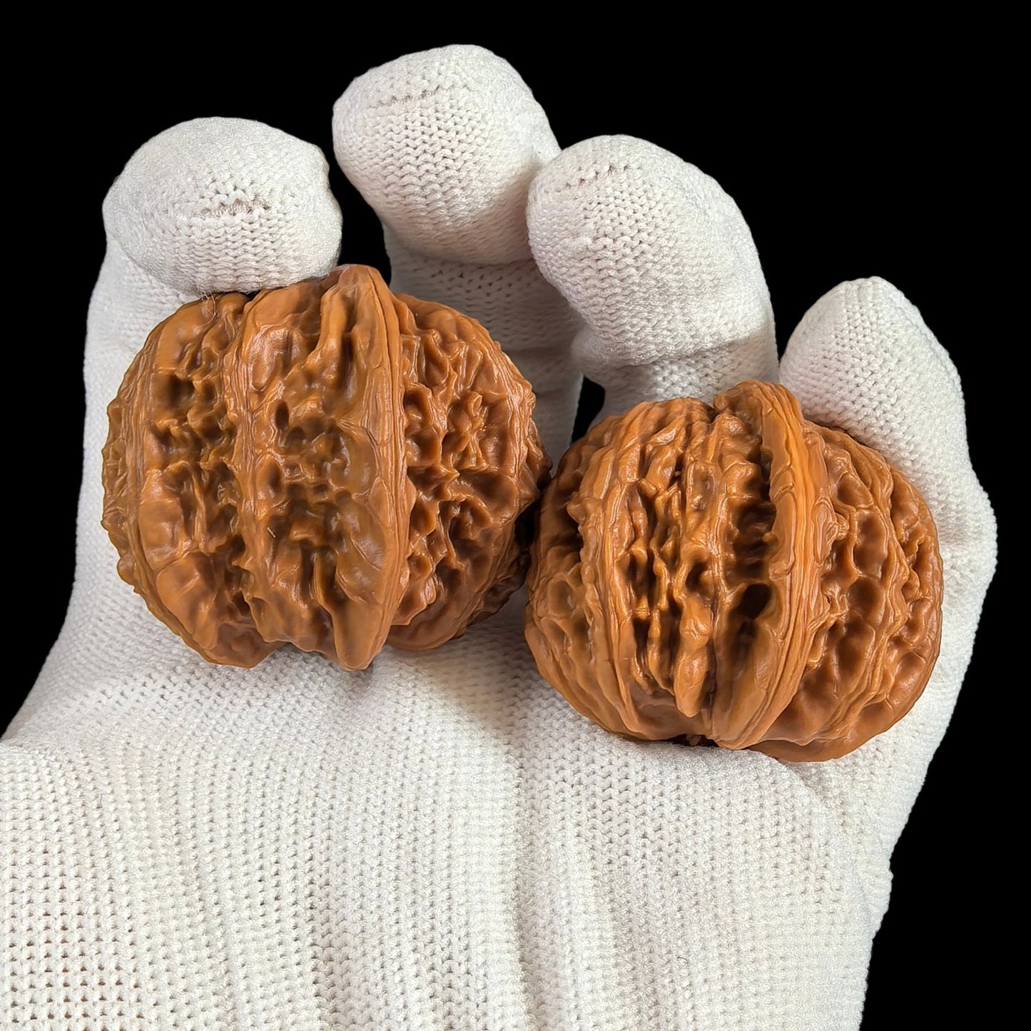 The Rare "Twin-Husk" White Lion Head (Banbi) Pair | 39.0mm | BBBSZ-02 - ThePatinaProject