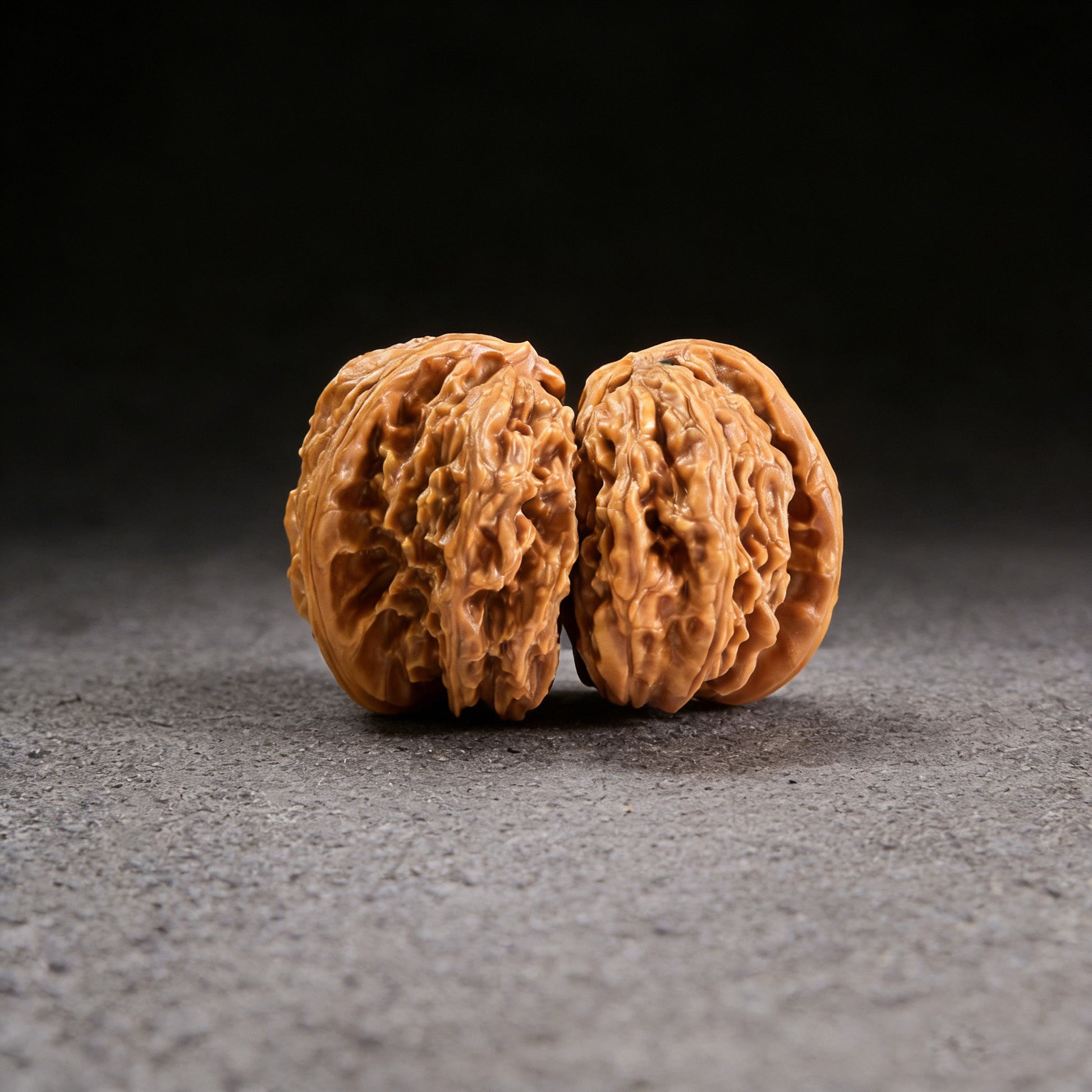 The Rare "Twin-Husk" White Lion Head (Banbi) Pair | 39.0mm | BBBSZ-02 - ThePatinaProject