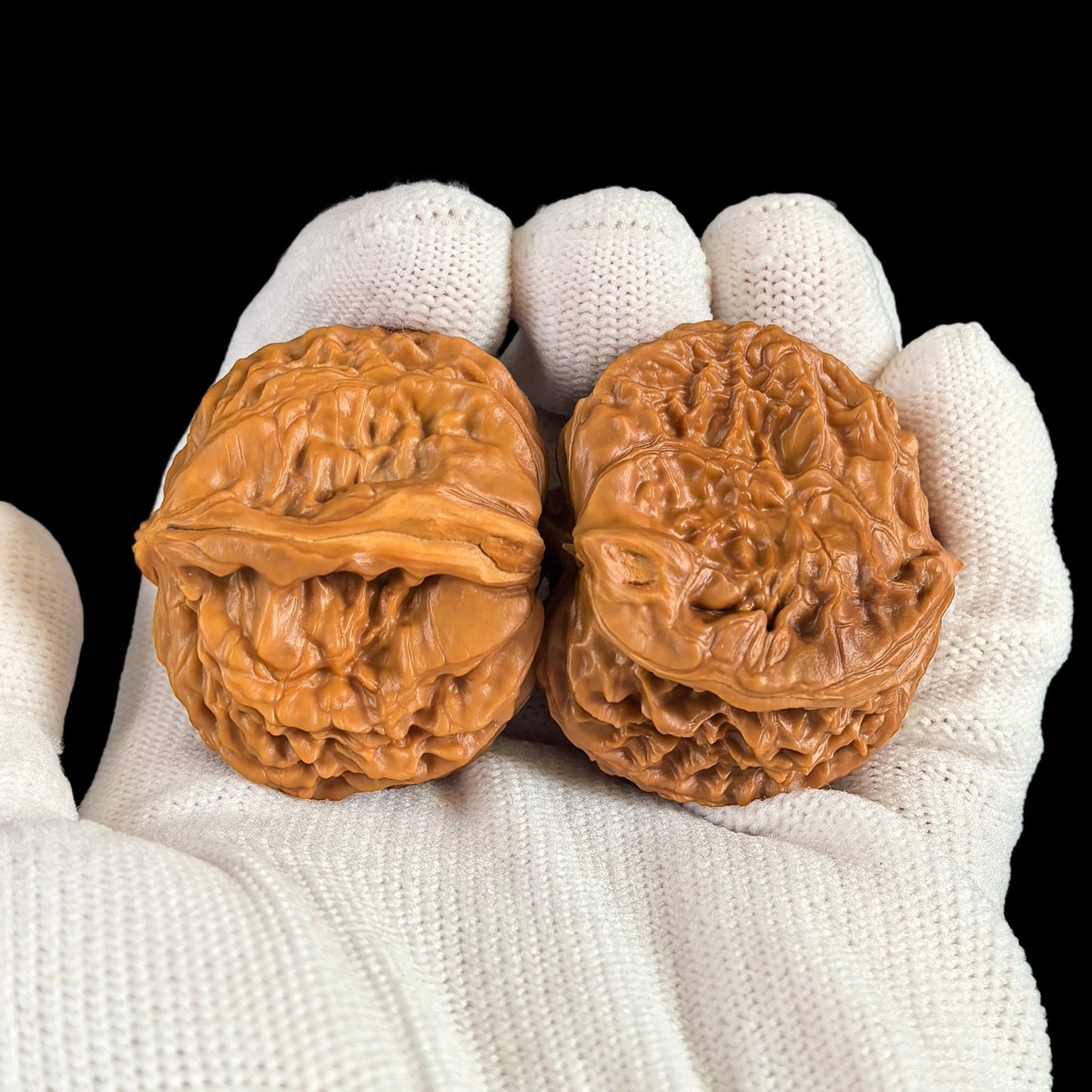 The Rare "Twin-Husk" White Lion Head (Banbi) Pair | 39.0mm | BBBSZ-02 - ThePatinaProject