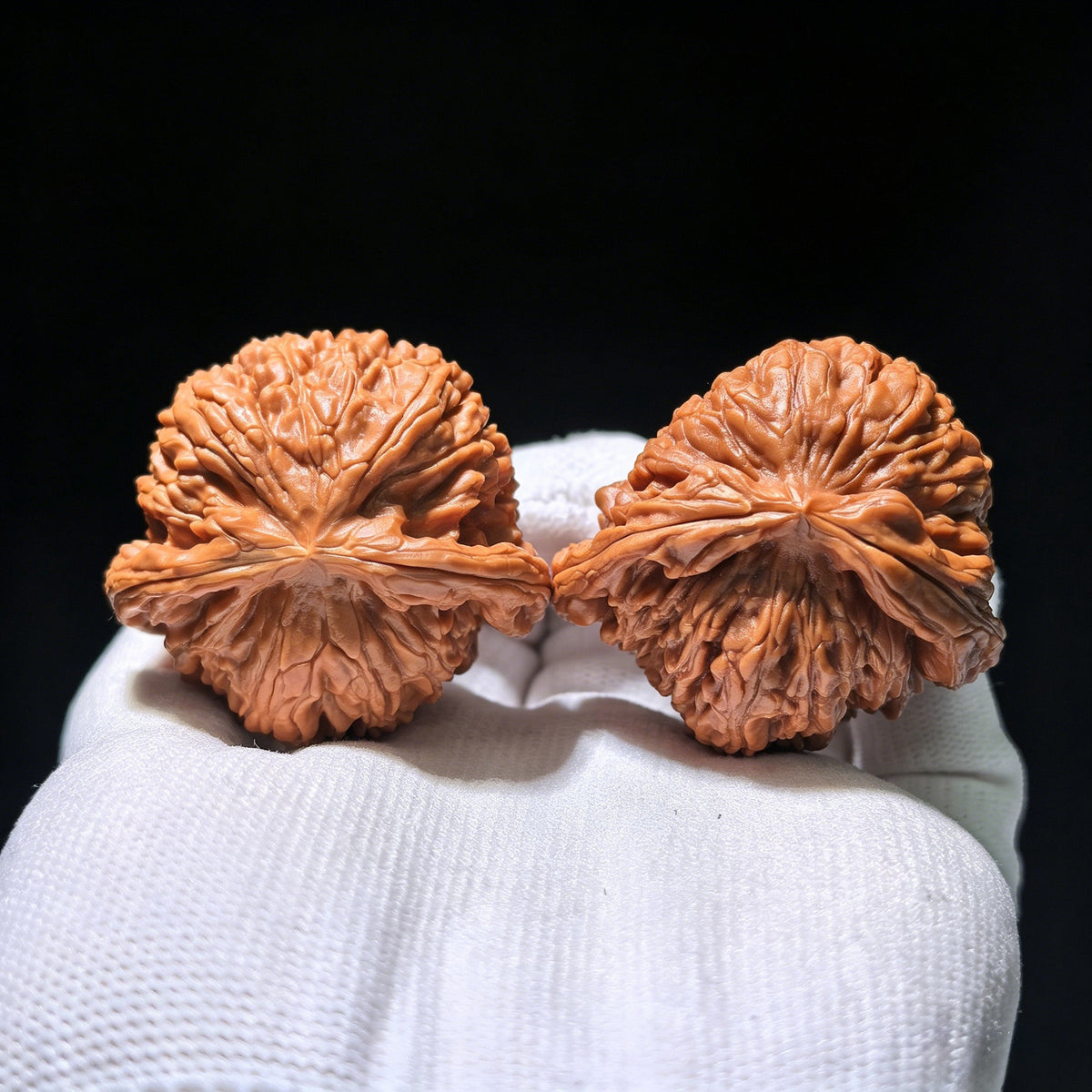 The Rare "White Lion Shun Feng Ear" Half-Wall (Ban Bi) | 43.0mm x 40.0mm | SJSFBB-1202E - ThePatinaProject