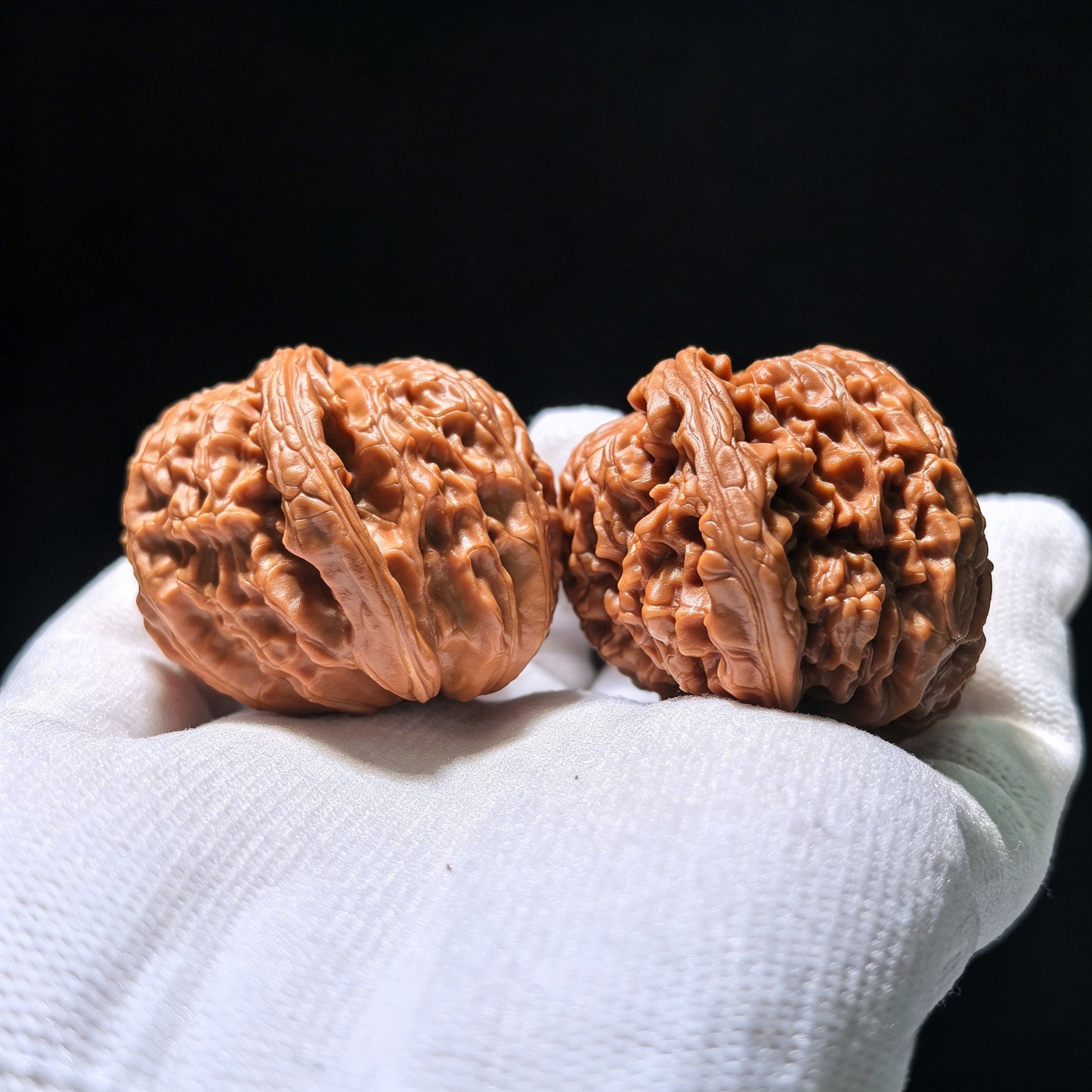 The Rare "White Lion Shun Feng Ear" Half-Wall (Ban Bi) | 43.0mm x 40.0mm | SJSFBB-1202E - ThePatinaProject