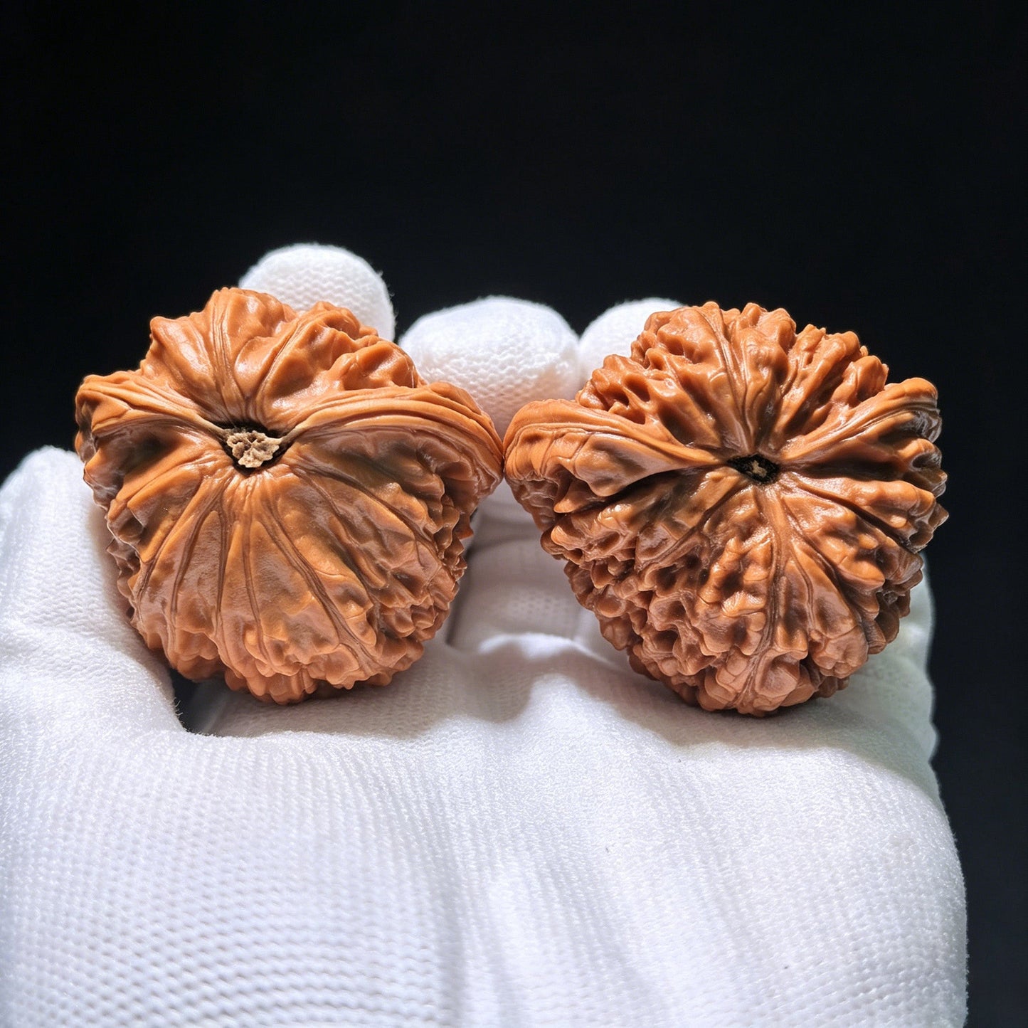 The Rare "White Lion Shun Feng Ear" Half-Wall (Ban Bi) | 43.0mm x 40.0mm | SJSFBB-1202E - ThePatinaProject