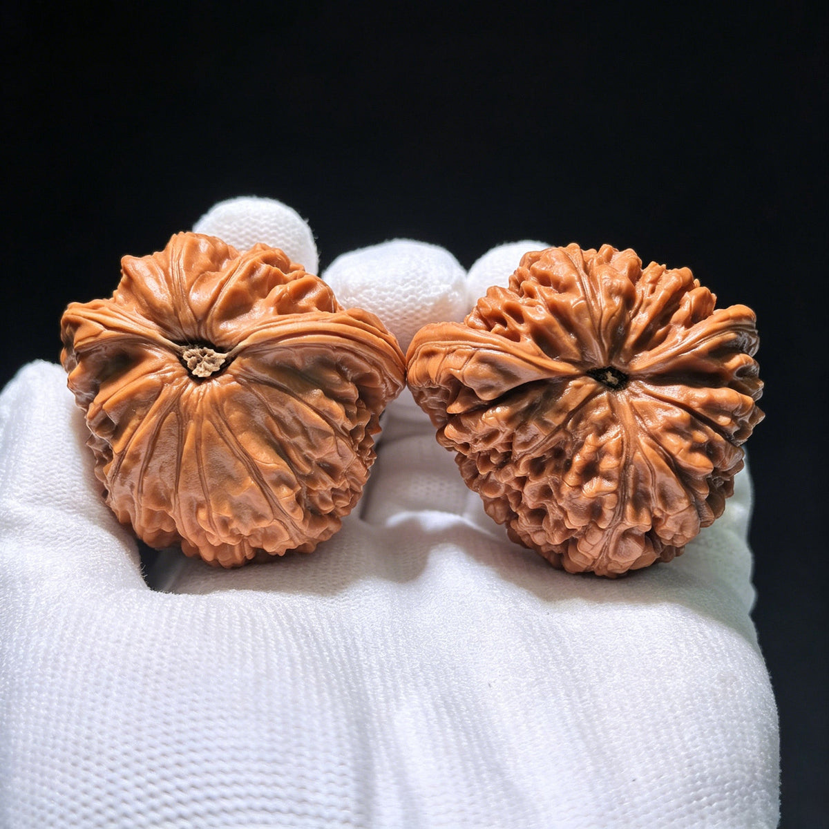 The Rare "White Lion Shun Feng Ear" Half-Wall (Ban Bi) | 43.0mm x 40.0mm | SJSFBB-1202E - ThePatinaProject