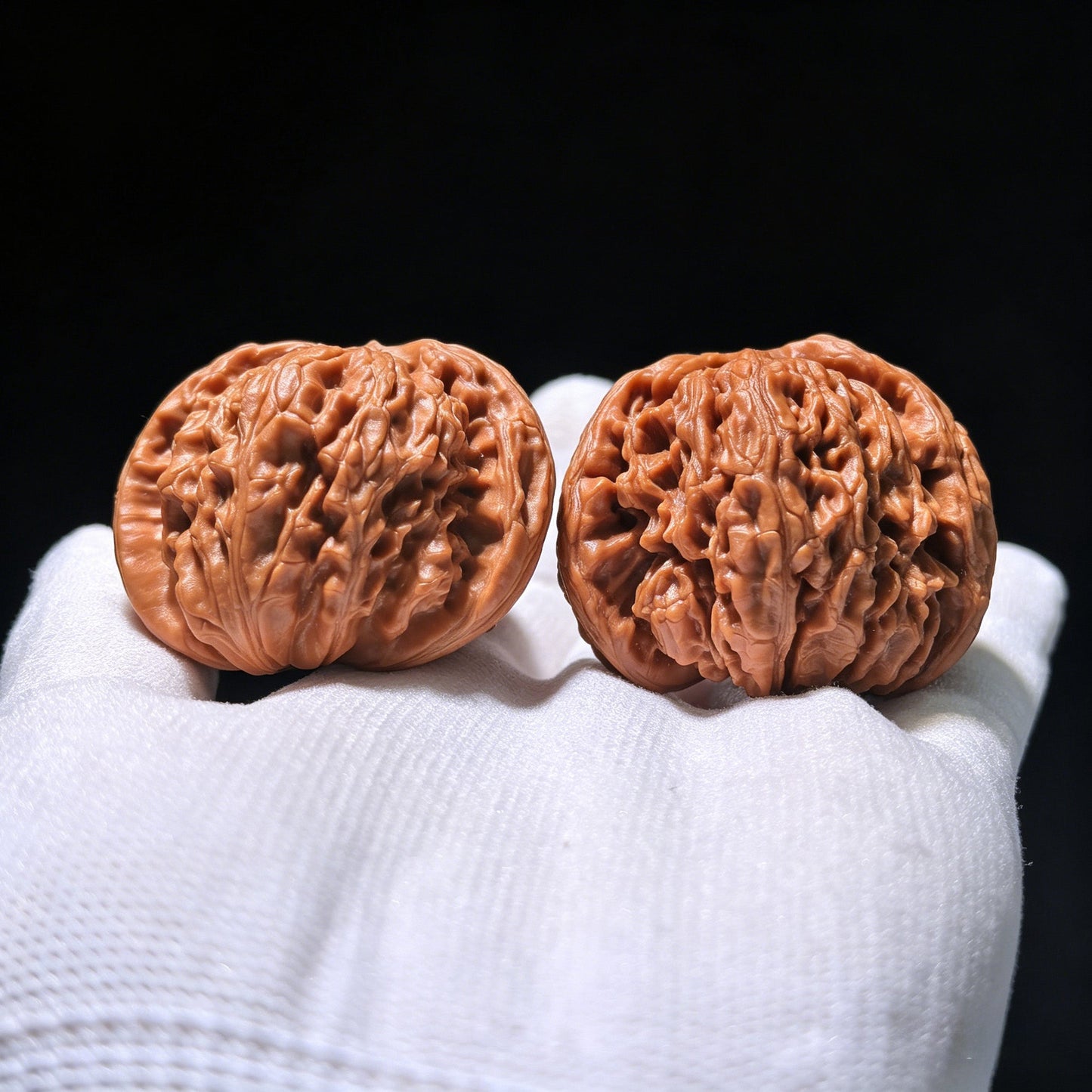 The Rare "White Lion Shun Feng Ear" Half-Wall (Ban Bi) | 43.0mm x 40.0mm | SJSFBB-1202E - ThePatinaProject