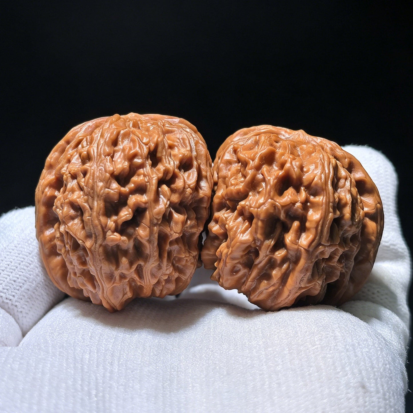 The Rare "White Lion Shun Feng Er" Half-Wall (Ban Bi) | 37.0mm x 43.0mm | SJSFBB-1201E - ThePatinaProject