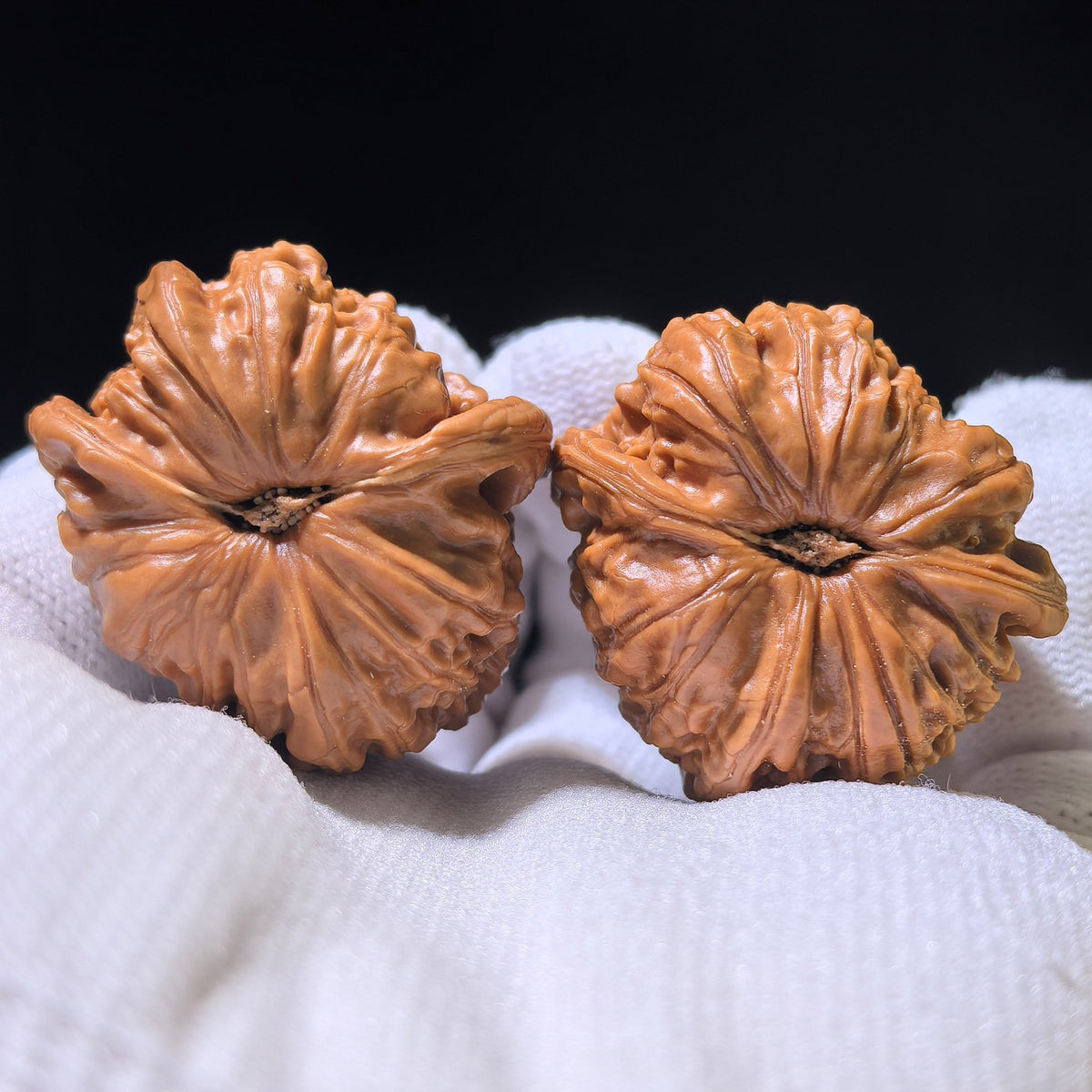 The Rare "White Lion Shun Feng Er" (Wind-Listening Ear) | 33.0mm x 34.0mm | BSJSFE-1201E - ThePatinaProject