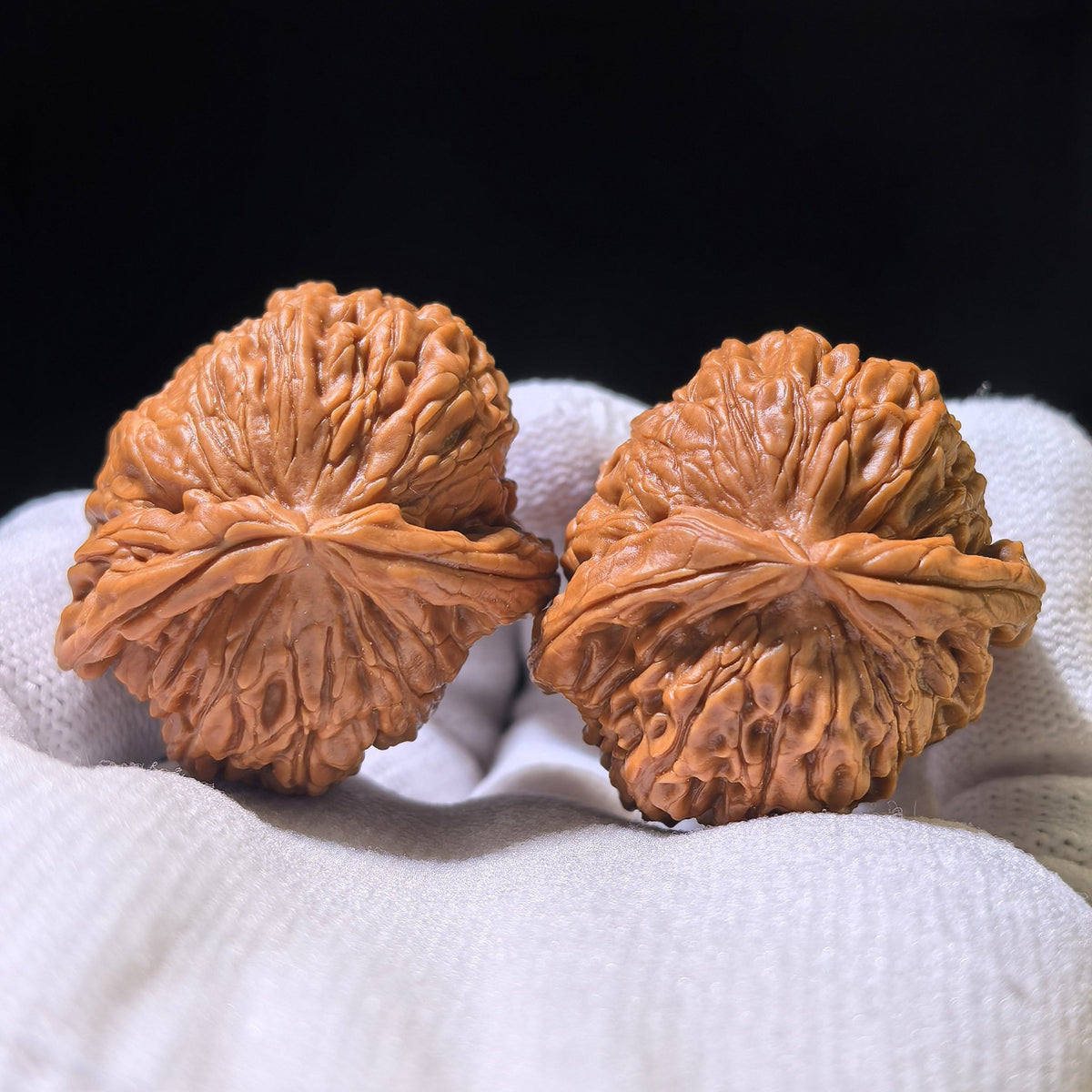 The Rare "White Lion Shun Feng Er" (Wind-Listening Ear) | 33.0mm x 34.0mm | BSJSFE-1201E - ThePatinaProject