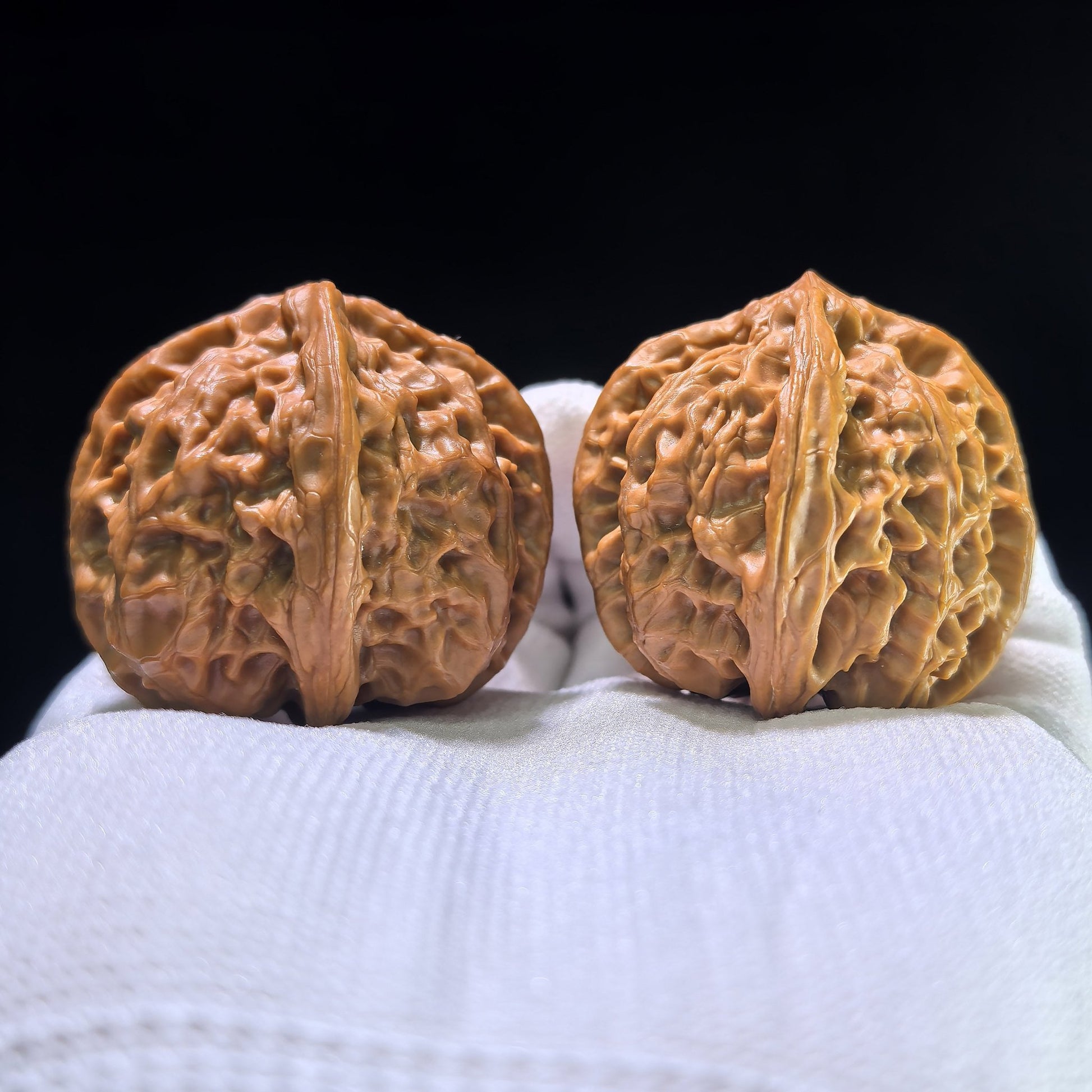 The Rare "Wild Bull" Quad-Ridge Four-Sided Pair | 42.0mm x 38.0mm | YNFN-1301E - ThePatinaProject