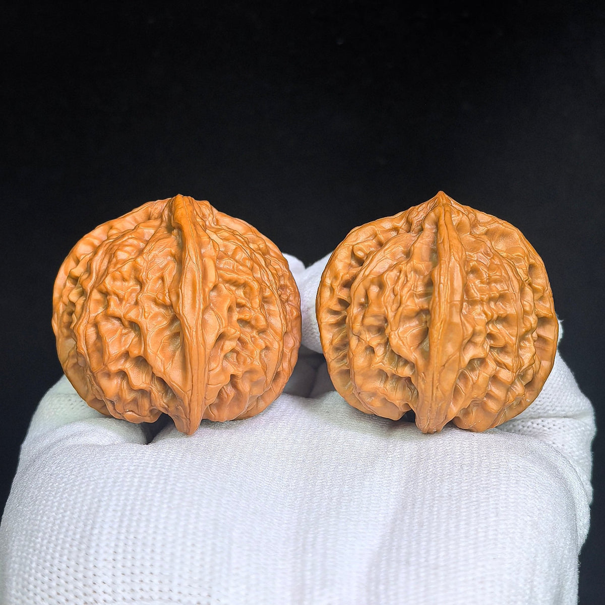 The Rare "Wild Bull" Quad-Ridge Four-Sided Pair | 42.0mm x 38.0mm | YNFN-1301E - ThePatinaProject