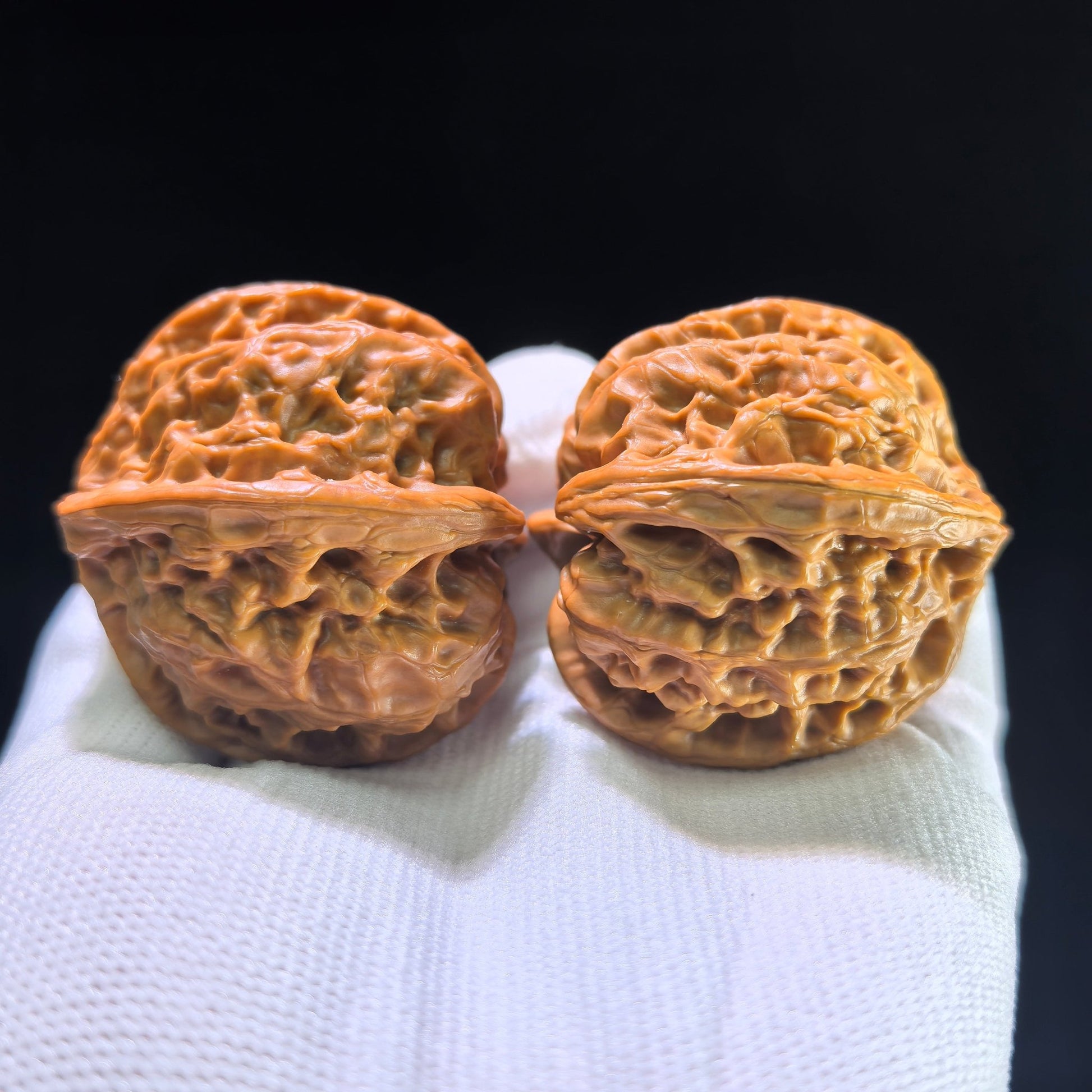 The Rare "Wild Bull" Quad-Ridge Four-Sided Pair | 42.0mm x 38.0mm | YNFN-1301E - ThePatinaProject