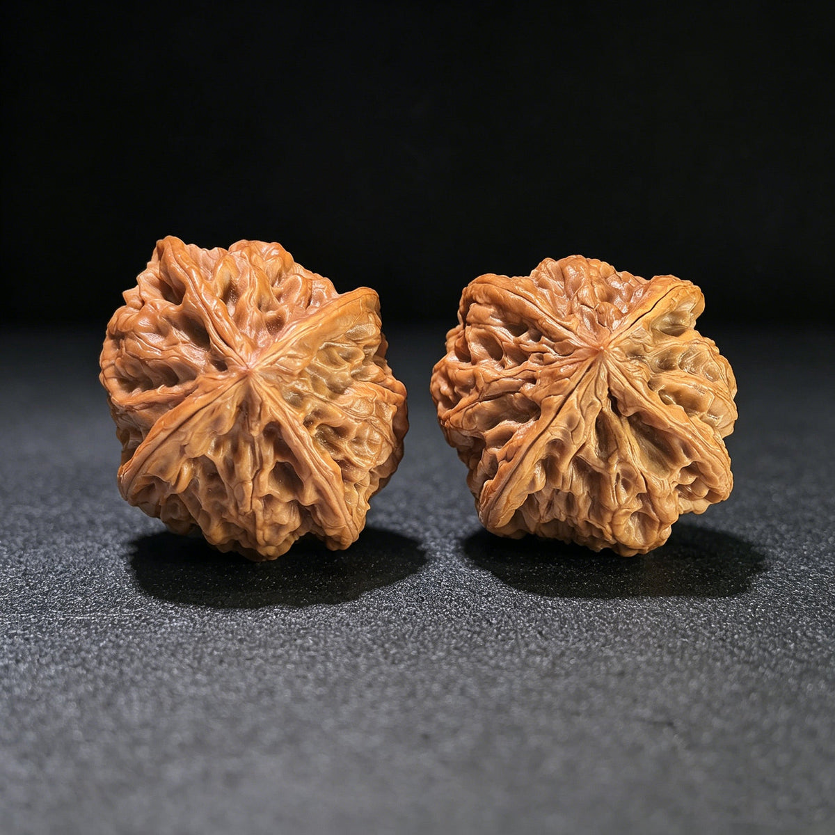 The Rare "Wild Bull" Quad-Ridge Four-Sided Pair | 42.0mm x 38.0mm | YNFN-1301E - ThePatinaProject