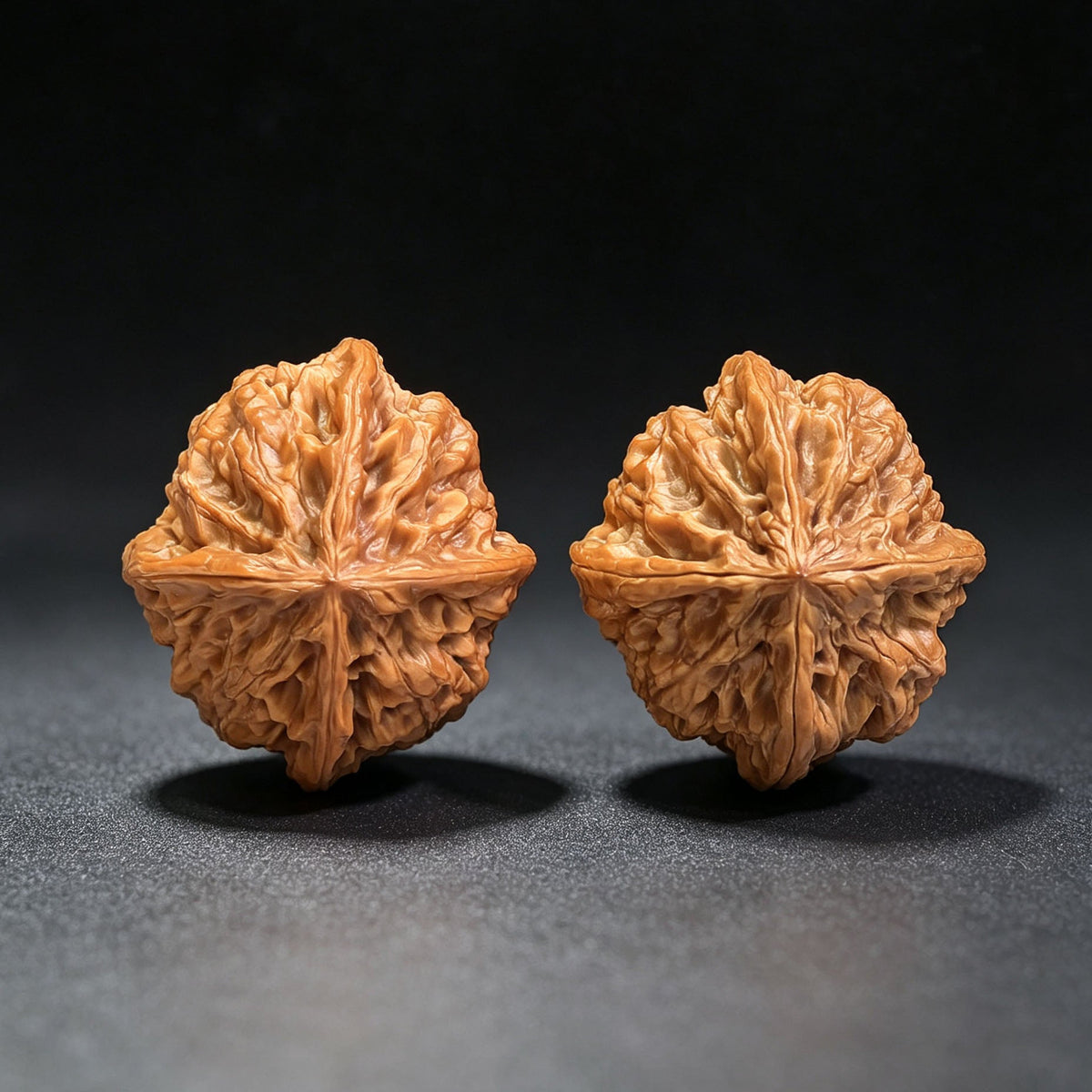 The Rare "Wild Bull" Quad-Ridge Four-Sided Pair | 42.0mm x 38.0mm | YNFN-1301E - ThePatinaProject
