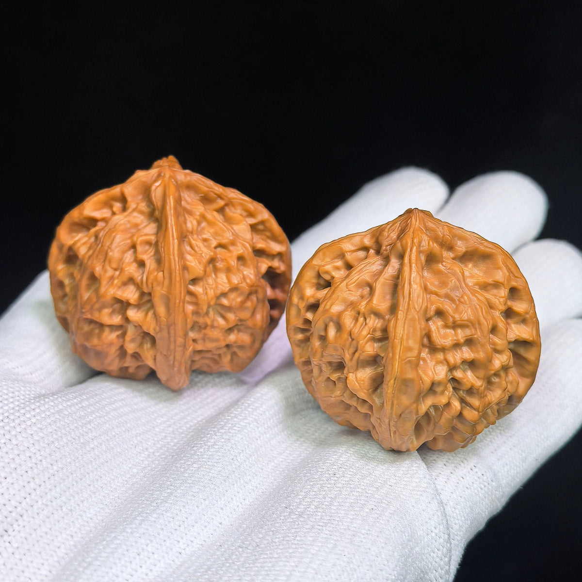 The Rare "Wild Bull" Quad-Ridge Four-Sided Pair | 42.0mm x 38.0mm | YNFN-1301E - ThePatinaProject
