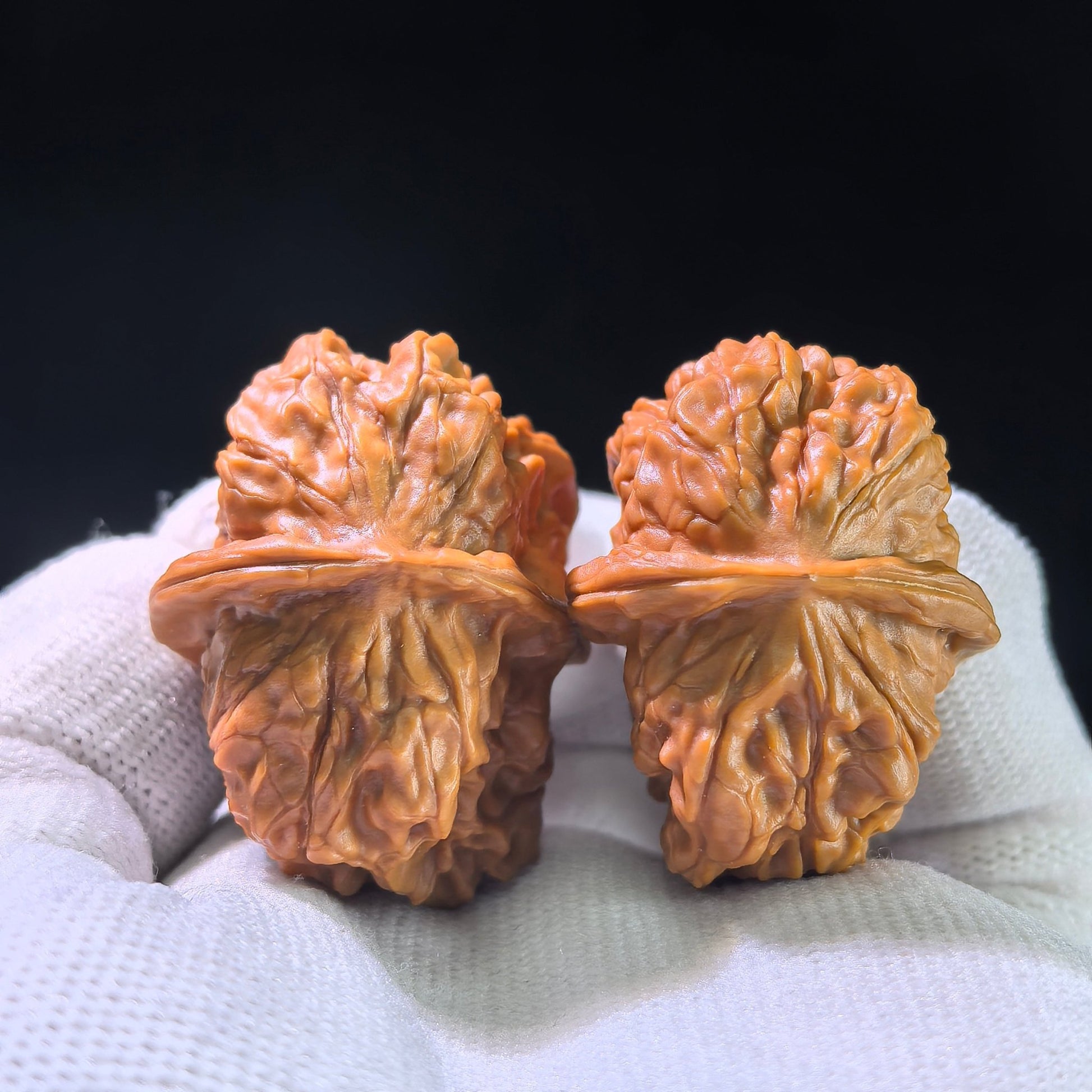 The Rare "Xinglong Dice" Half-Wall (Ban Bi) Ergonomic Pair | 29.0mm x 38.0mm | XLBB-1201E - ThePatinaProject