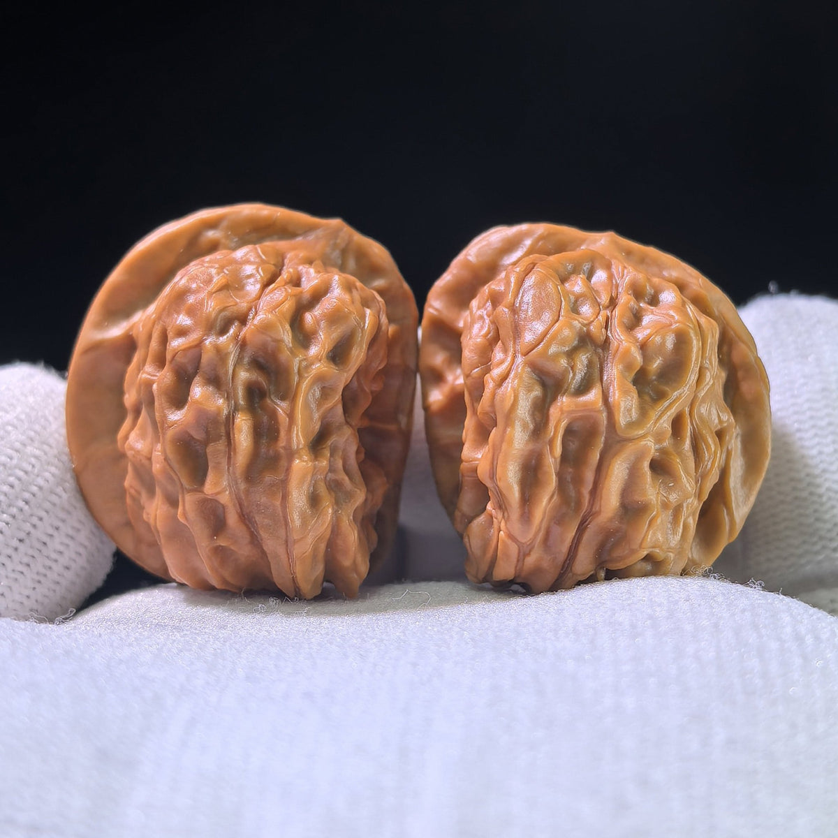 The Rare "Xinglong Dice" Half-Wall (Ban Bi) Ergonomic Pair | 29.0mm x 38.0mm | XLBB-1201E - ThePatinaProject