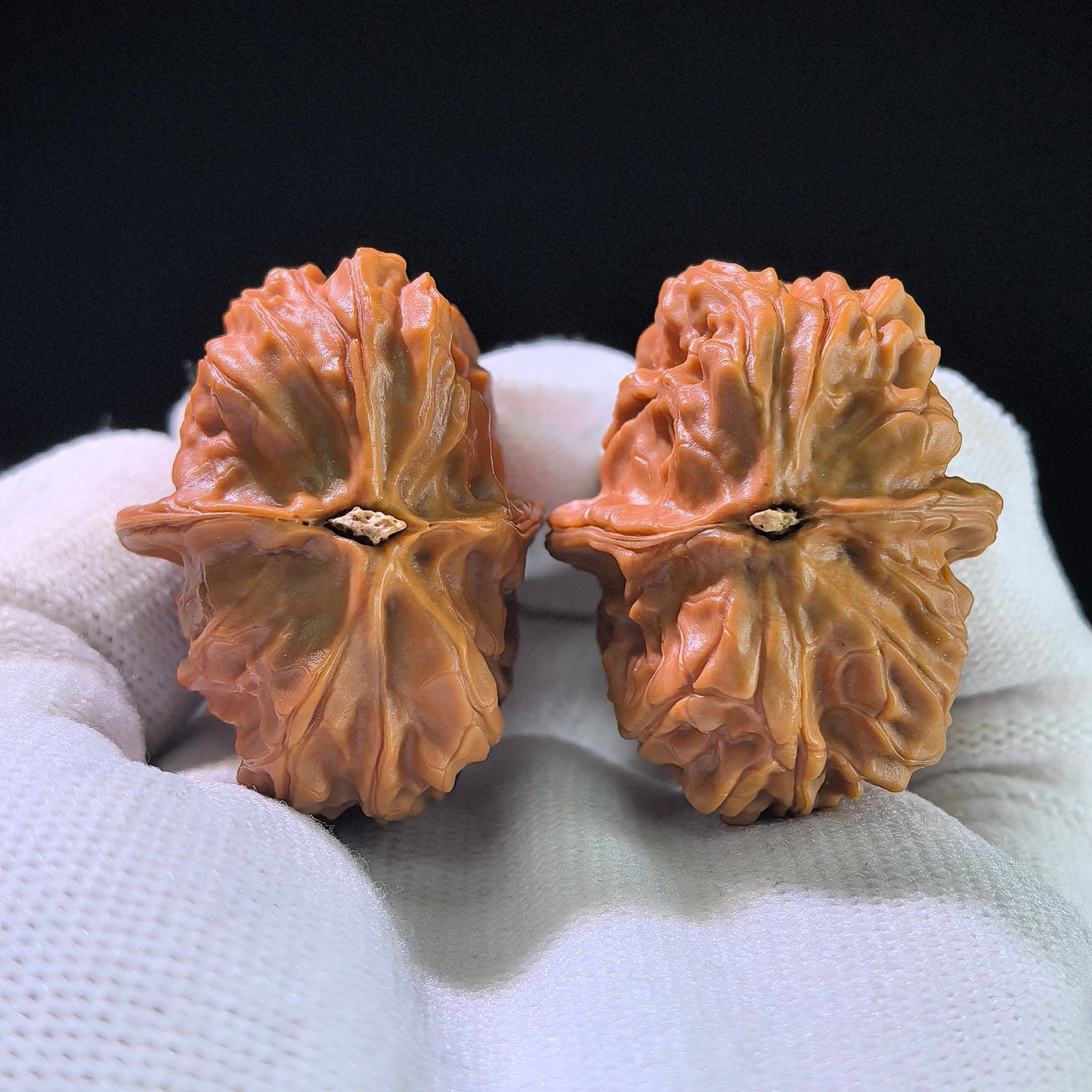 The Rare "Xinglong Dice" Half-Wall (Ban Bi) Ergonomic Pair | 29.0mm x 38.0mm | XLBB-1201E - ThePatinaProject