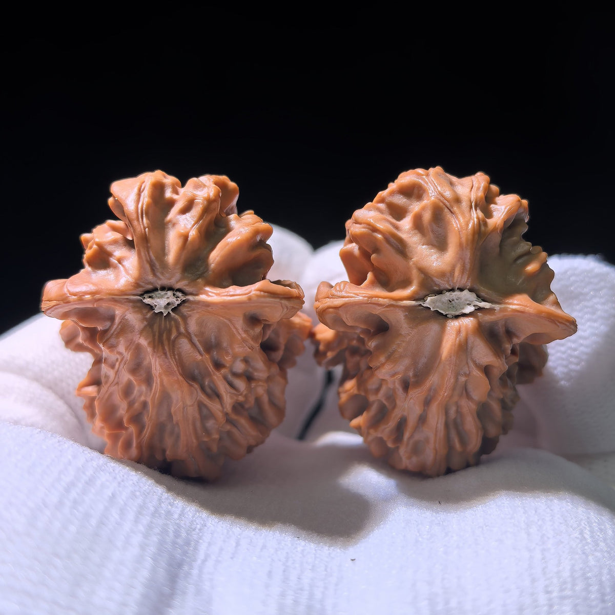 The Rare "Yixing" Little Bird (Xiao Niao) Collector’s Pair | 30.0mm x 32.0mm | YXXL-1201E - ThePatinaProject