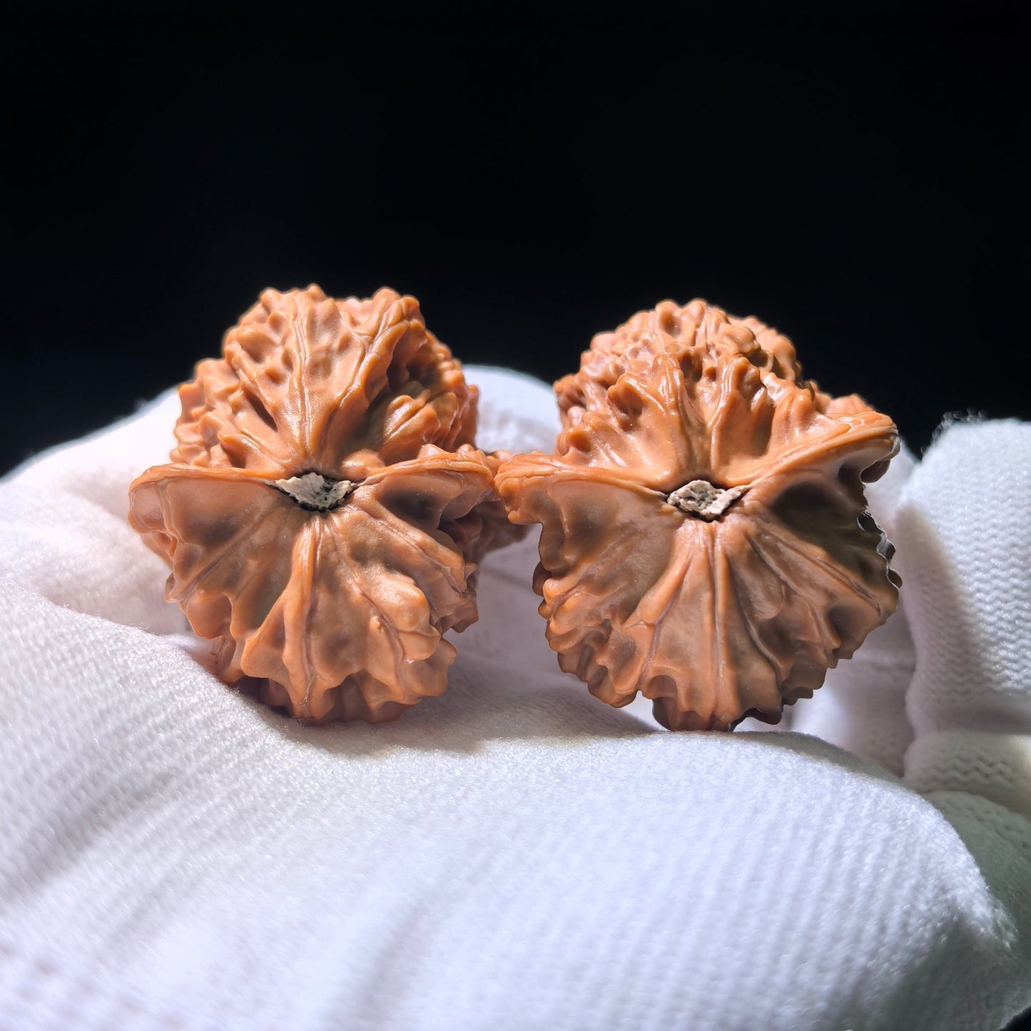 The Rare "Yixing" Little Bird (Xiao Niao) Collector’s Pair | 31.0mm x 29.0mm | YXXL-1202E - ThePatinaProject