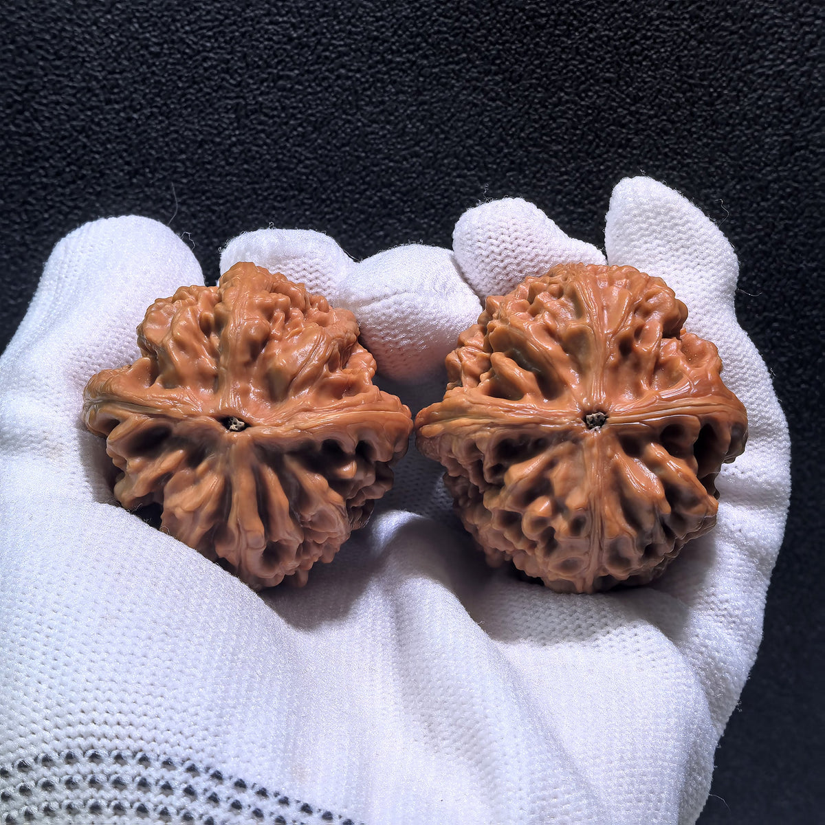 The "Red Koi" (Hong Jin Li) Pair | Boutique Grade | 40.0mm x 40.0mm x 41.0mm | HJL-401C - ThePatinaProject