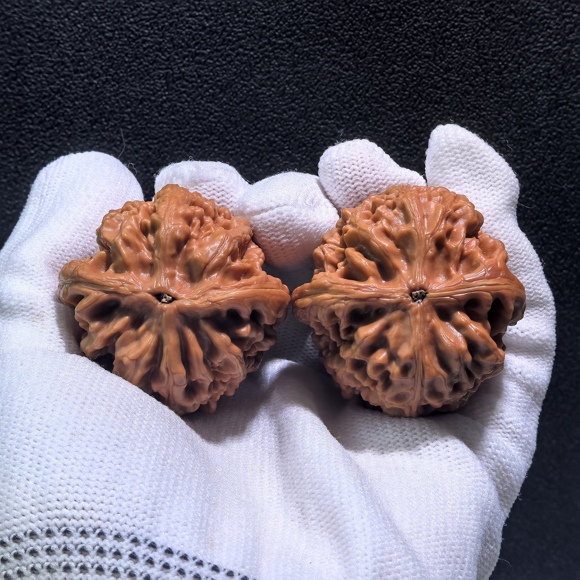 The "Red Koi" (Hong Jin Li) Pair | Boutique Grade | 40.0mm x 40.0mm x 41.0mm | HJL-401C - ThePatinaProject