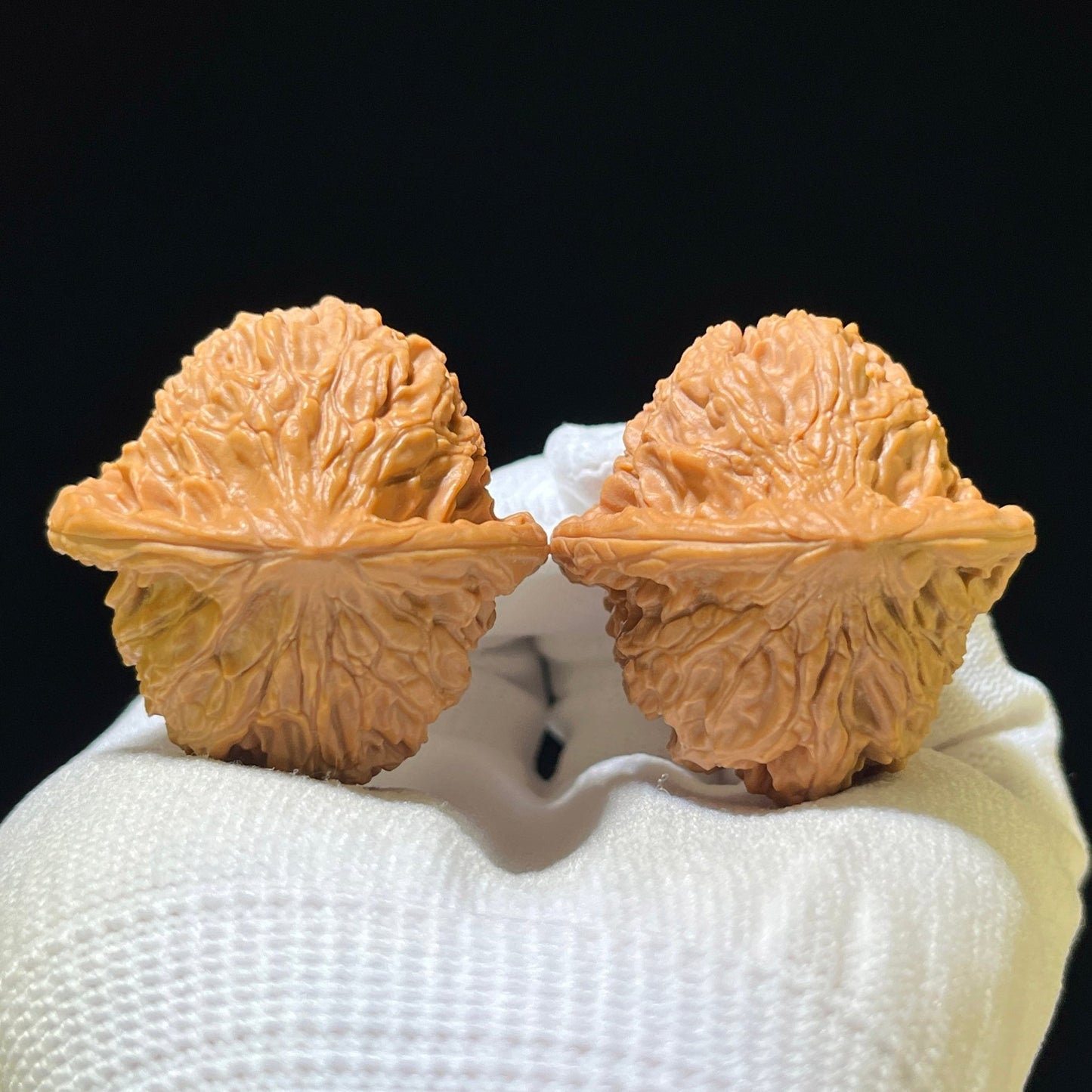 The "Red Lion" (Hong Shi Zi) Deep-Belly Proportionate Pair | 40.0mm x 41.0mm | HSZ-1103 - ThePatinaProject