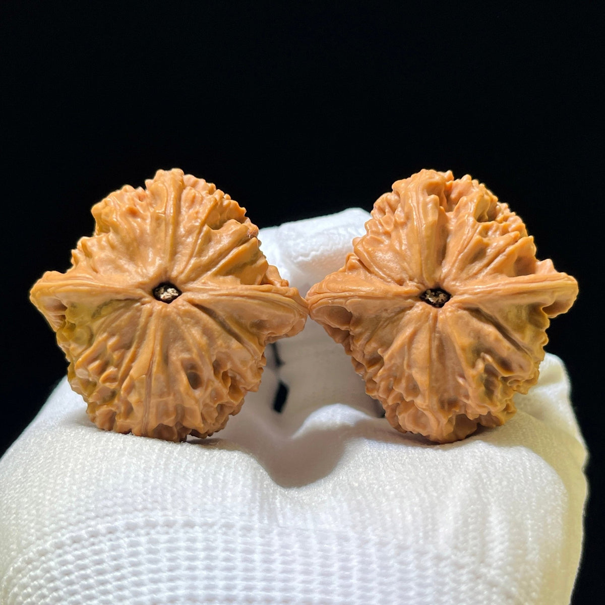 The "Red Lion" (Hong Shi Zi) Deep-Belly Proportionate Pair | 40.0mm x 41.0mm | HSZ-1103 - ThePatinaProject