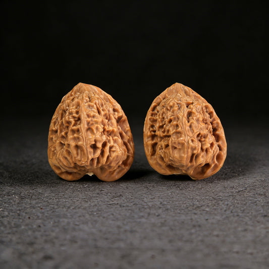 The "Red Square Seal" (Hong Fang Yin) Pair | 38.0mm x 43.0mm | HFY-301 - ThePatinaProject