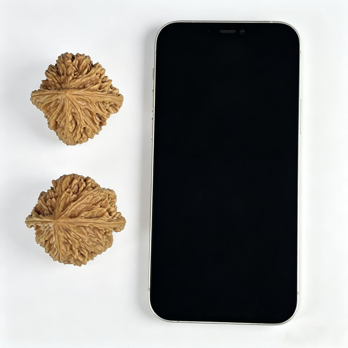 The Royal "Beijing Heart" Jiuxin Lion Head Masterpiece | 44.0mm x 43.0mm | BJJX-1002 - ThePatinaProject