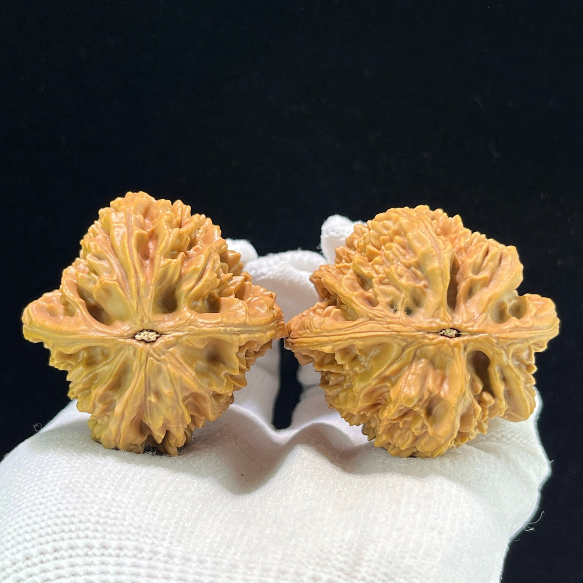 The Royal "Beijing Heart" Jiuxin Lion Head Masterpiece | 44.0mm x 43.0mm | BJJX-1002 - ThePatinaProject