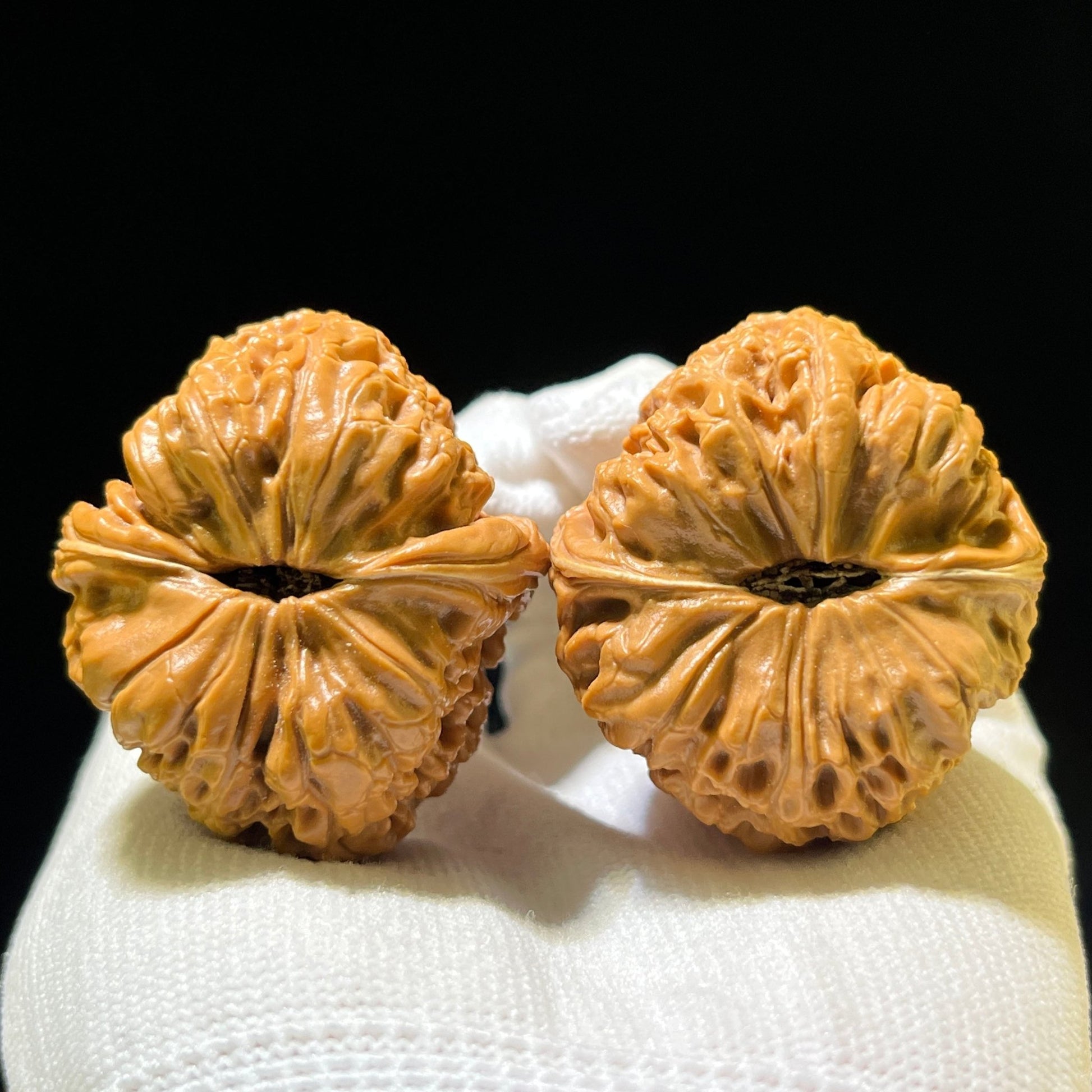 The Royal "Grand Reunion" Datanyuan Lion Head Masterpiece | 38.0mm x 43.0mm | DTY-1101 - ThePatinaProject