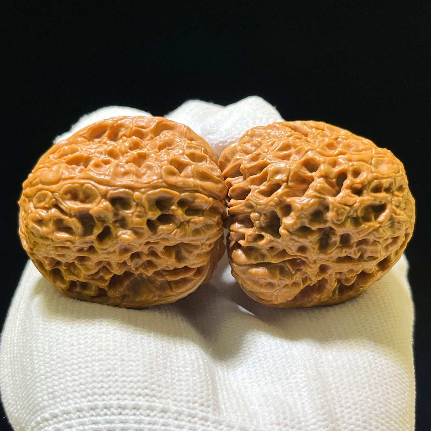 The Royal "Grand Reunion" Datanyuan Lion Head Masterpiece | 38.0mm x 43.0mm | DTY-1101 - ThePatinaProject