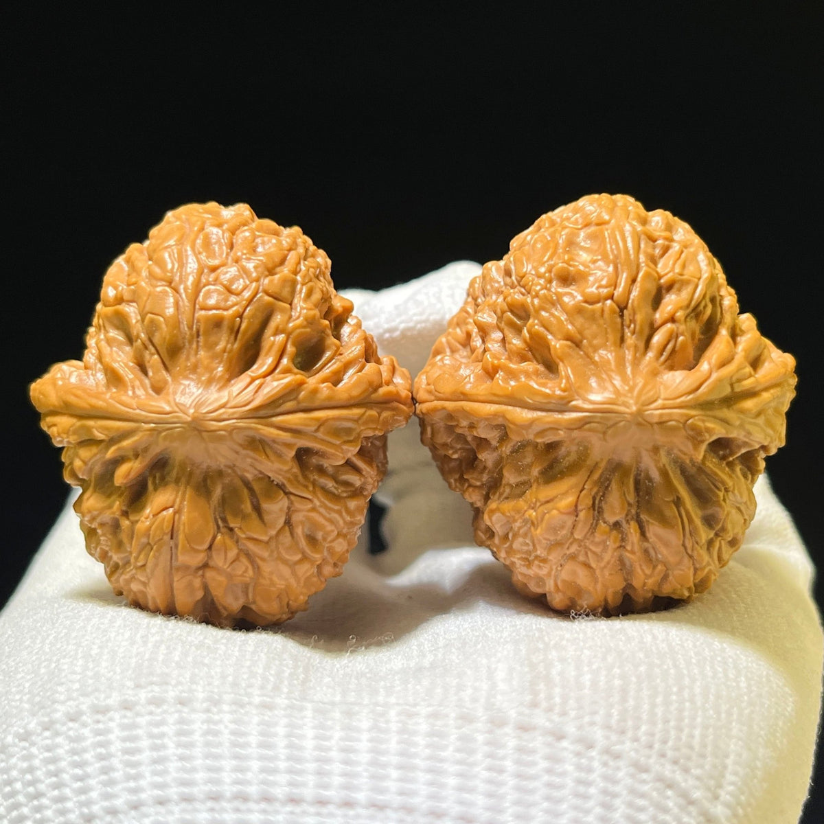 The Royal "Grand Reunion" Datanyuan Lion Head Masterpiece | 38.0mm x 43.0mm | DTY-1101 - ThePatinaProject