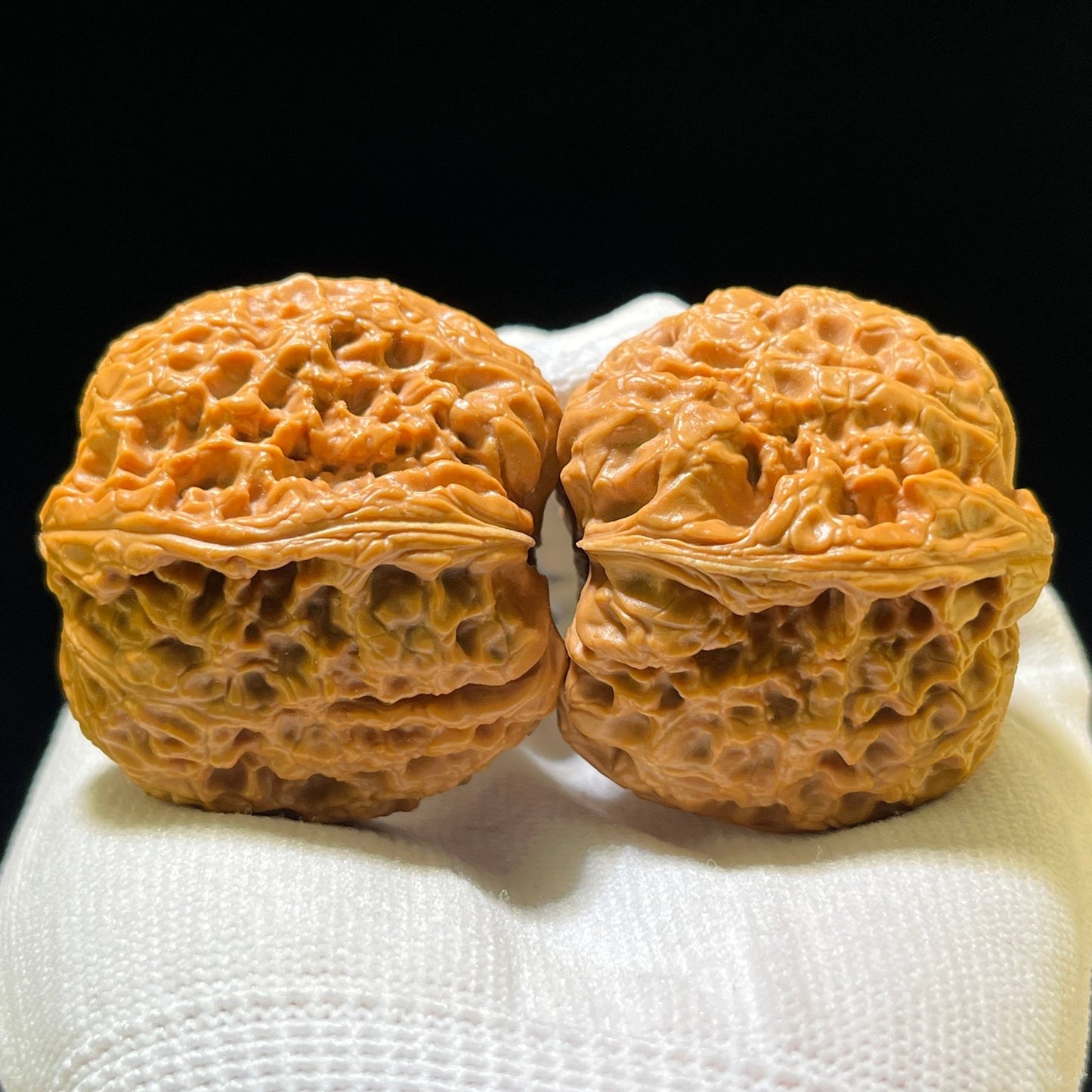 The Royal "Grand Reunion" Datanyuan Lion Head Masterpiece | 38.0mm x 43.0mm | DTY-1101 - ThePatinaProject