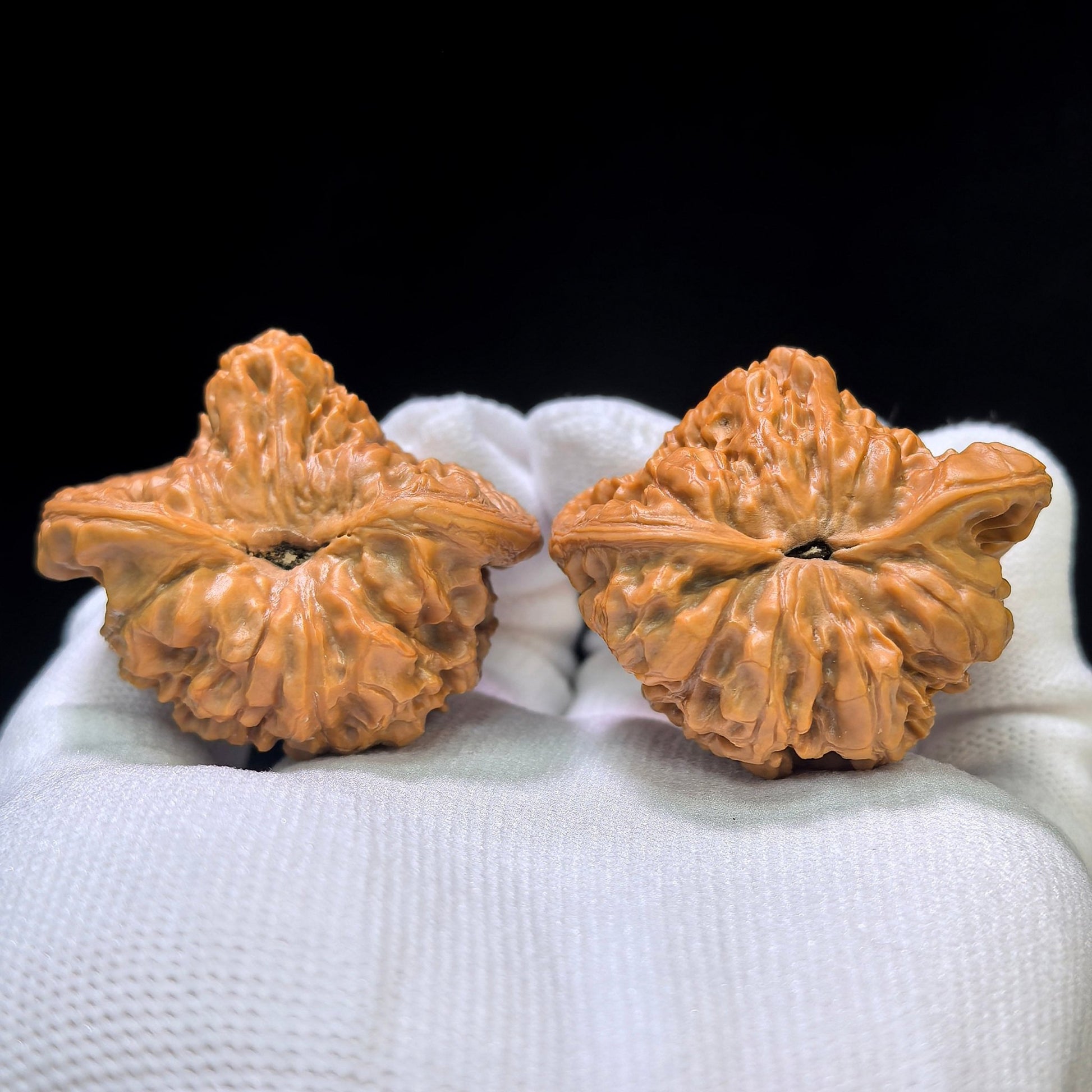 The Royal "Heart-Gold Mountain Treasure Basin Snake Head" Taoxin Jinshan Jubaopen Shetou Masterpiece | 43.0mm x 38.0mm | TXJSJBP-401E - ThePatinaProject