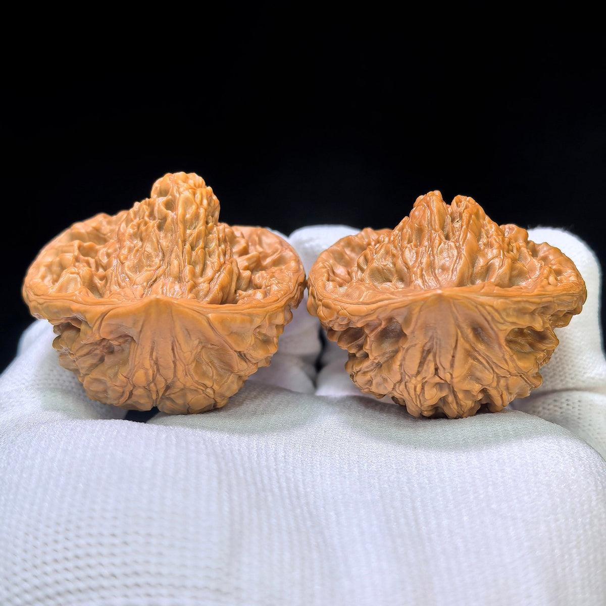 The Royal "Heart-Gold Mountain Treasure Basin Snake Head" Taoxin Jinshan Jubaopen Shetou Masterpiece | 43.0mm x 38.0mm | TXJSJBP-401E - ThePatinaProject