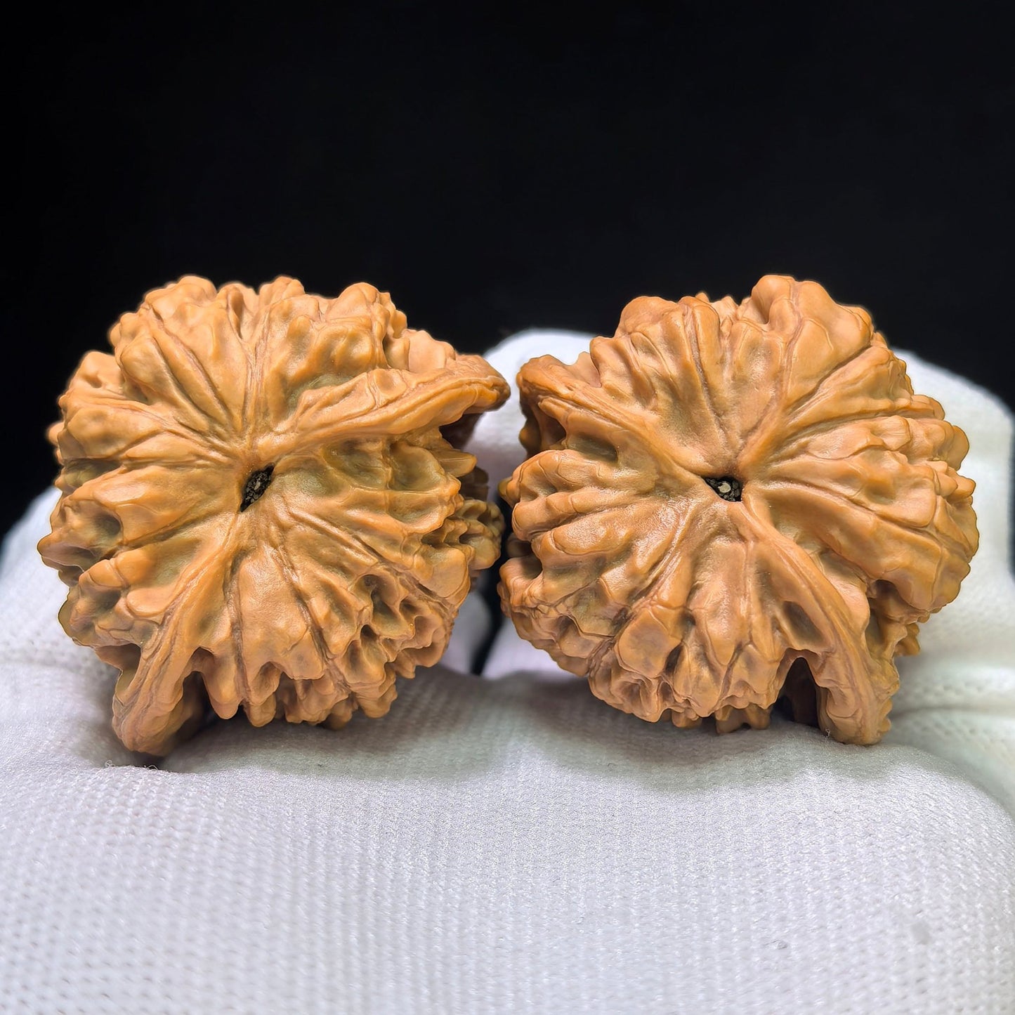 The Royal "Official's Hat Seated Buddha" Guanmao Zuofo Pocket Masterpiece | 42.0mm x 38.0mm | GMZF-401E - ThePatinaProject