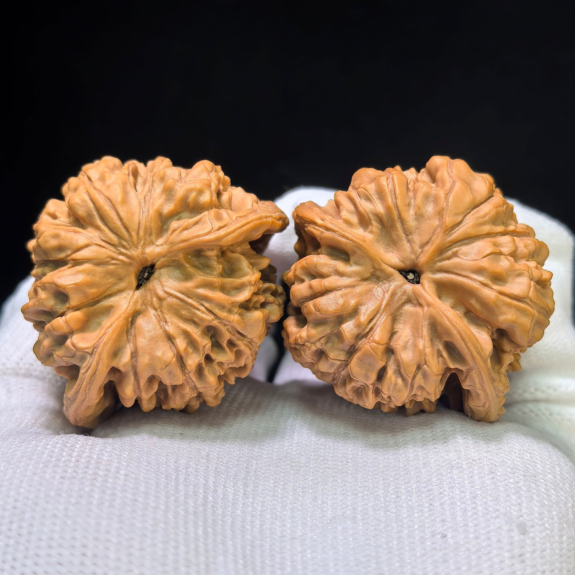 The Royal "Official's Hat Seated Buddha" Guanmao Zuofo Pocket Masterpiece | 42.0mm x 38.0mm | GMZF-401E - ThePatinaProject