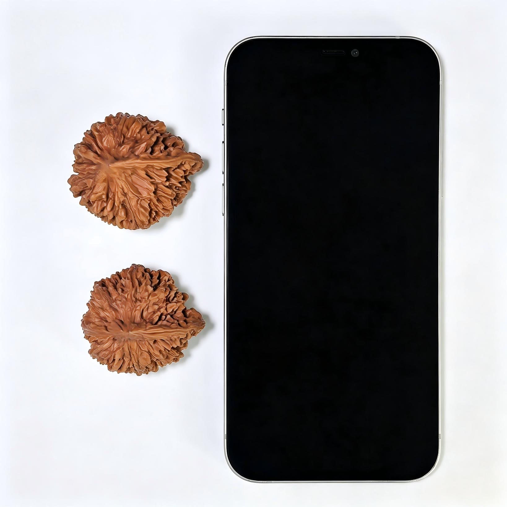 The Royal "Official's Hat Smooth Sailing" Guanmao Yifanfengshun Pocket Masterpiece | 40.0mm x 37.0mm | GMYF-401E - ThePatinaProject