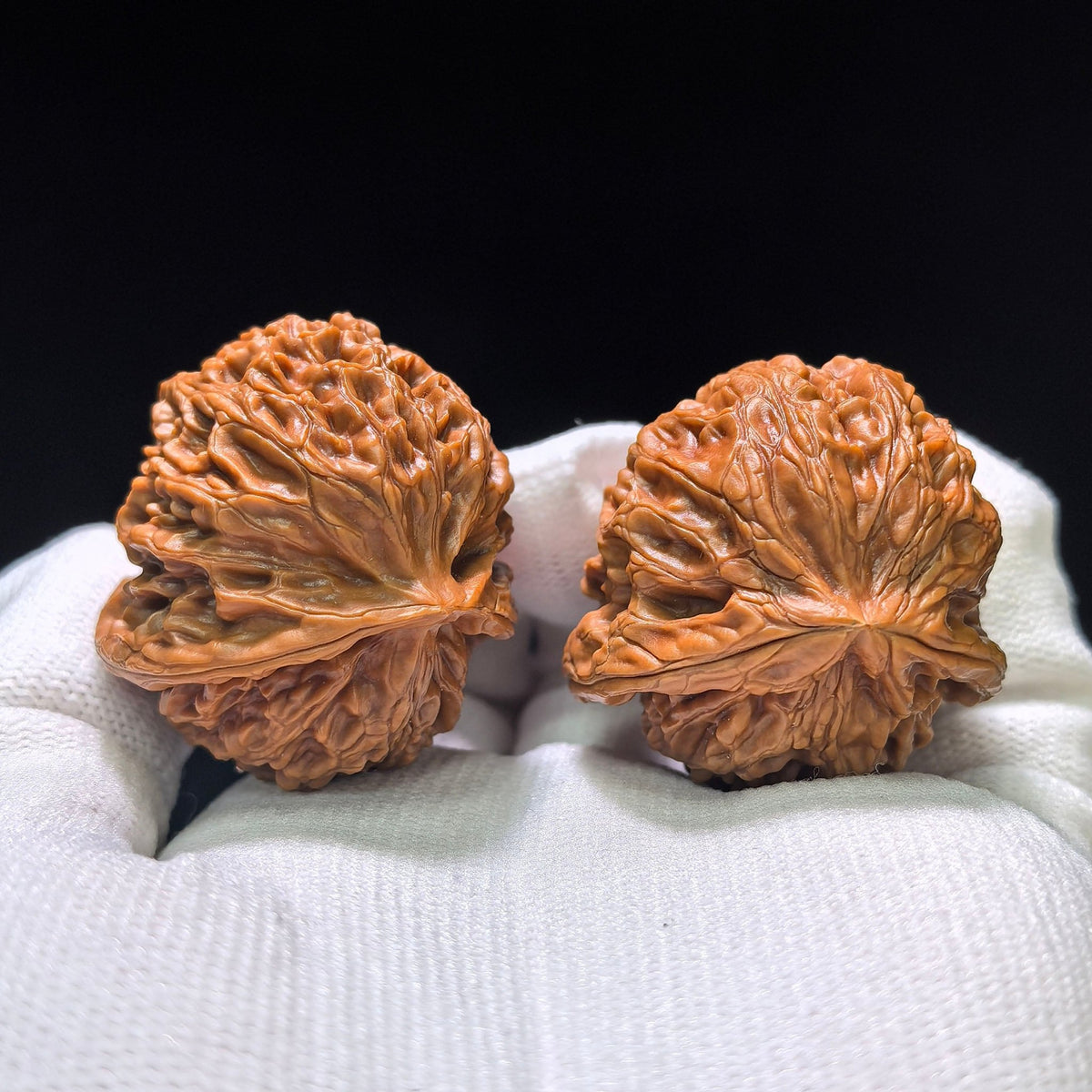 The Royal "Palace Lantern Turtle Shell" Gongdeng Wuguibei Pocket Masterpiece | 34.0mm x 37.0mm | GDWGB-401E - ThePatinaProject