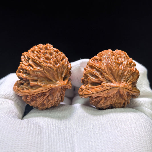 The Royal "Palace Lantern Turtle Shell" Gongdeng Wuguibei Pocket Masterpiece | 34.0mm x 37.0mm | GDWGB-401E - ThePatinaProject